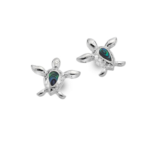Charming turtle studs adorned with vibrant paua shell Earrings Sea Gems Ltd