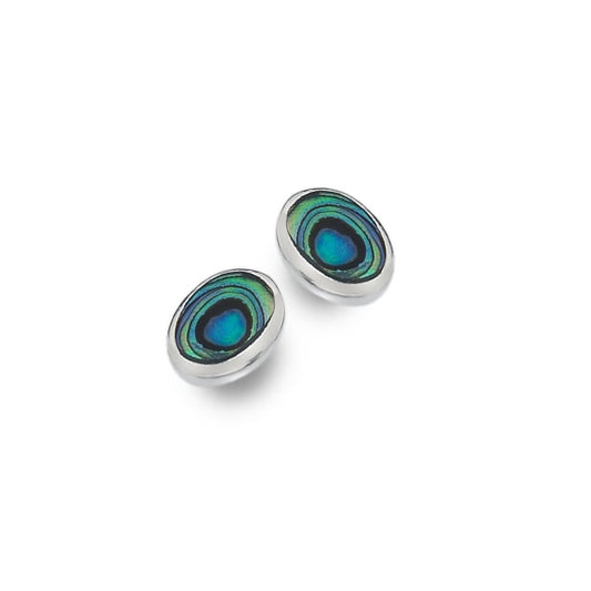 Handcrafted Sterling Silver with Paua Shell oval studs Earrings Sea Gems Ltd