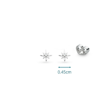 North Star Petite Stud Earrings