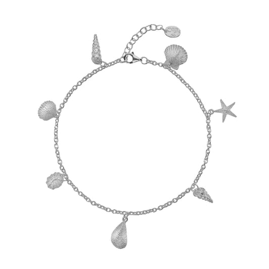 Silver mixed shell charm anklet Anklet Sea Gems Ltd