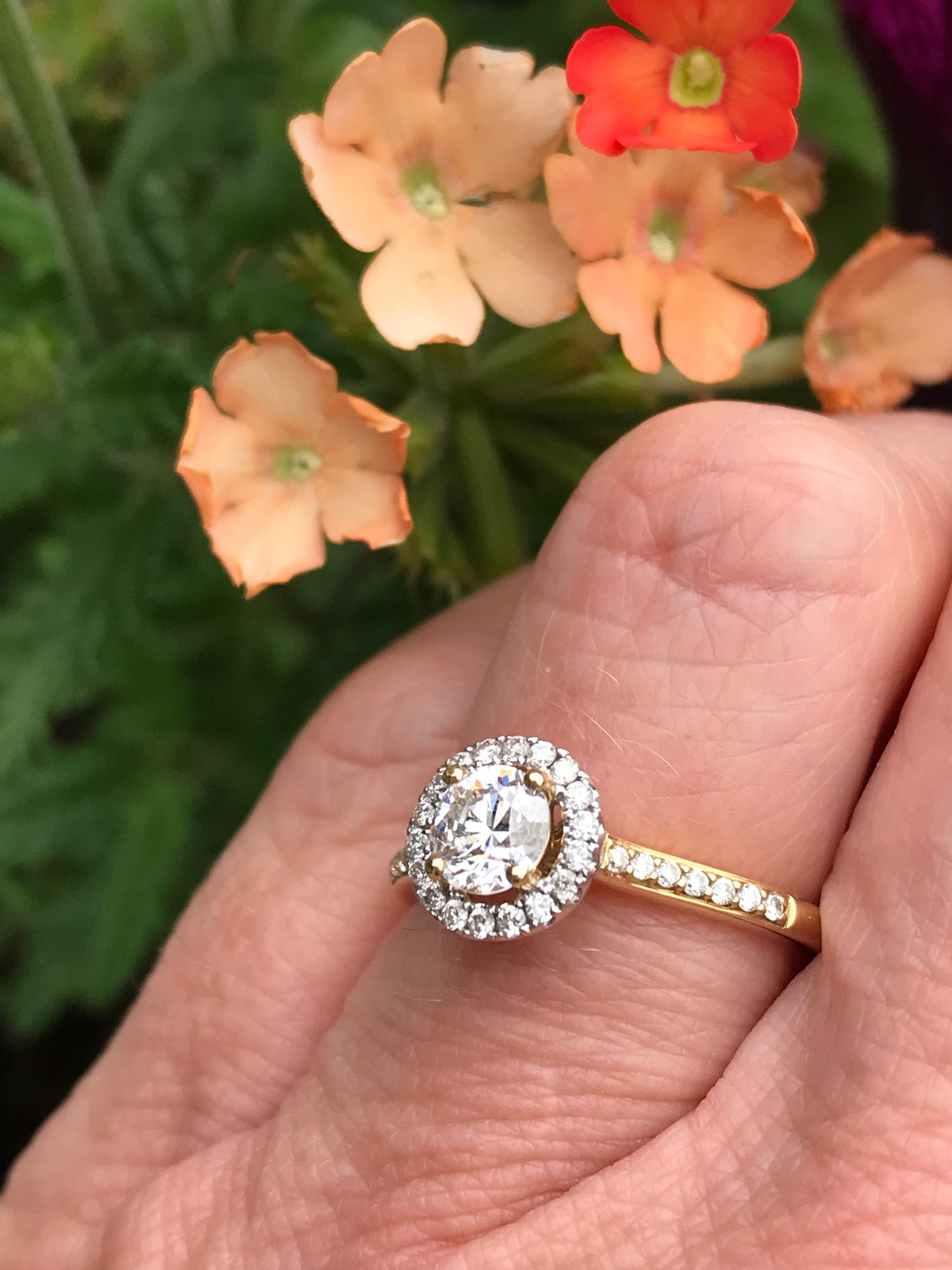 18ct yellow gold 0.54ct natural diamond halo ring Ring Rock Lobster