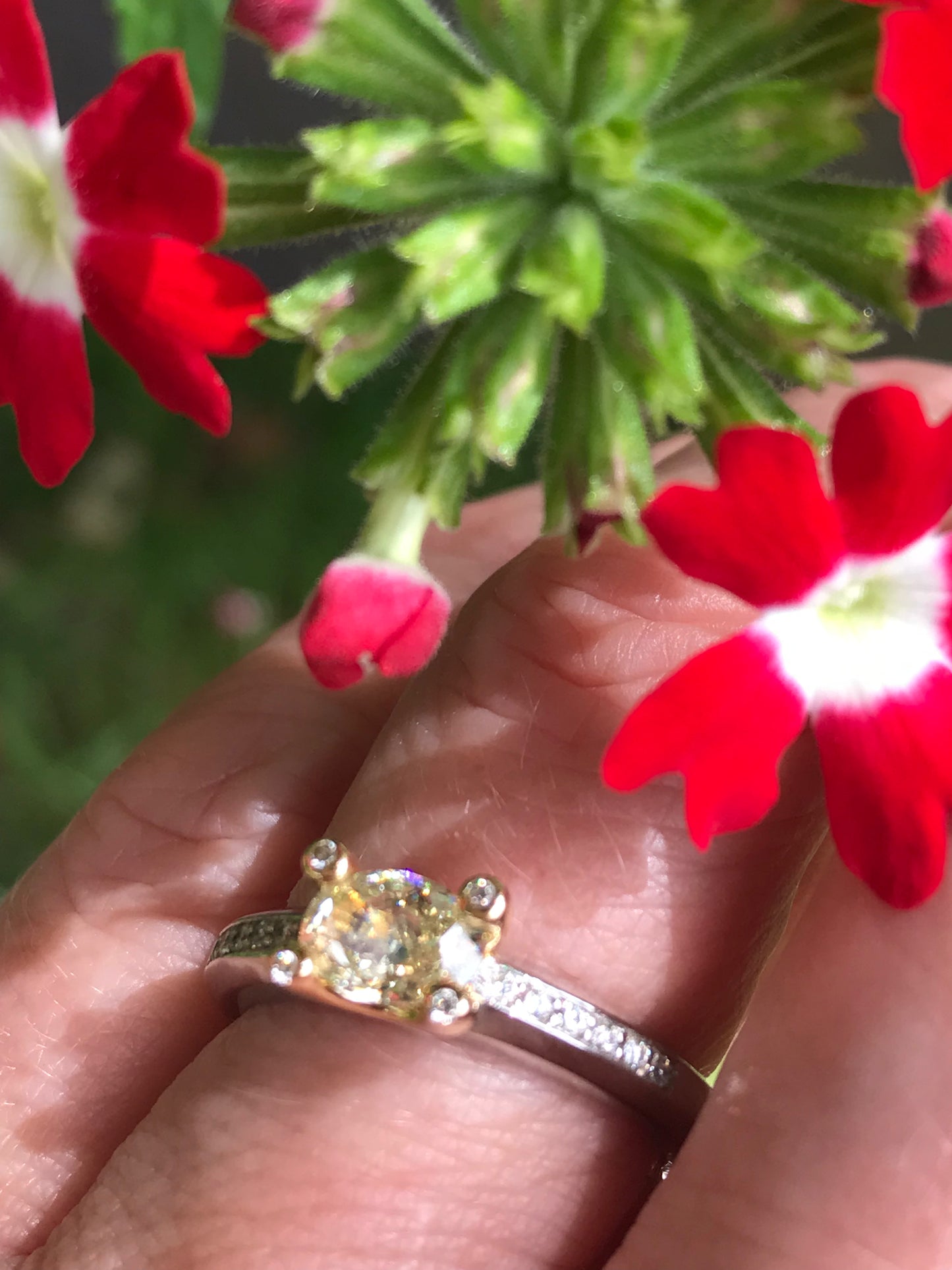 Platinum/Gold Oval yellow 0.65ct Natural Diamond ring. Ring Krieger Fine Jewellery