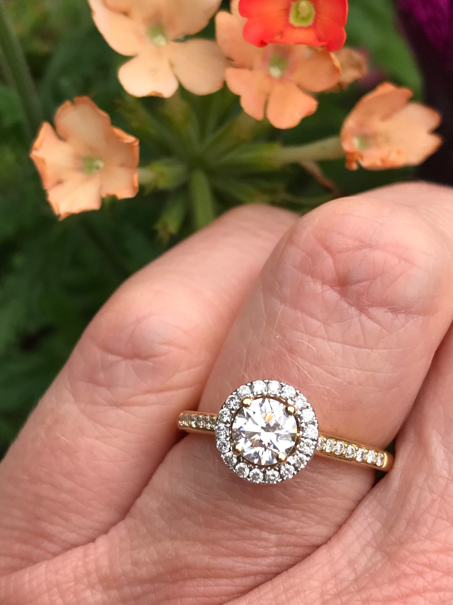 18ct yellow gold 0.54ct natural diamond halo ring Ring Rock Lobster