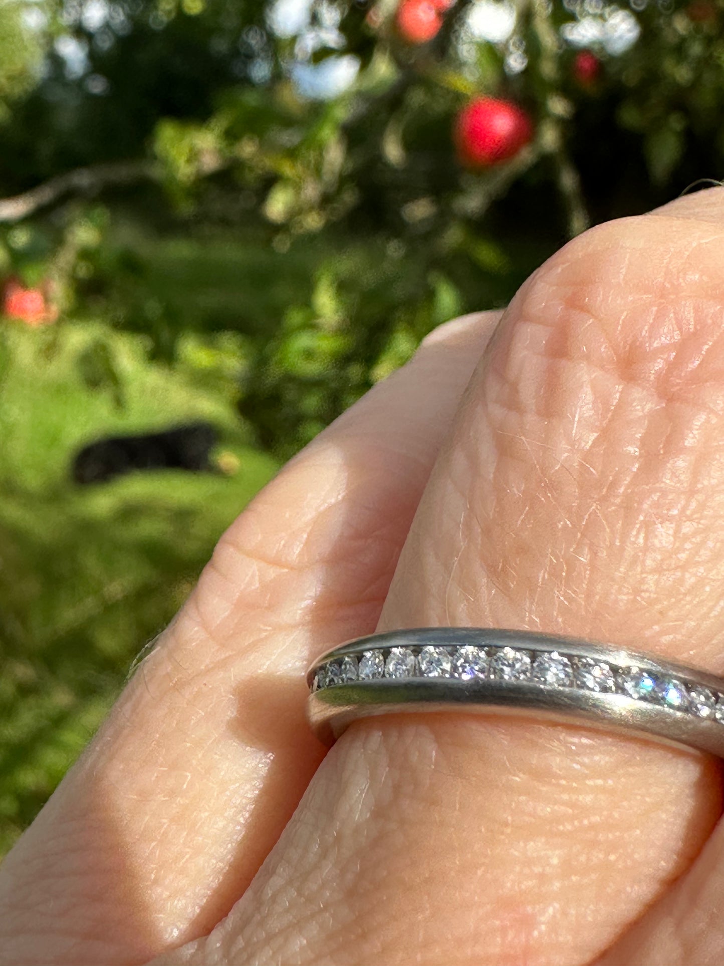 Henrich and Denzel heavy platinum and brilliant cut diamond set full Eternity band Ring Henrich & Denzel   