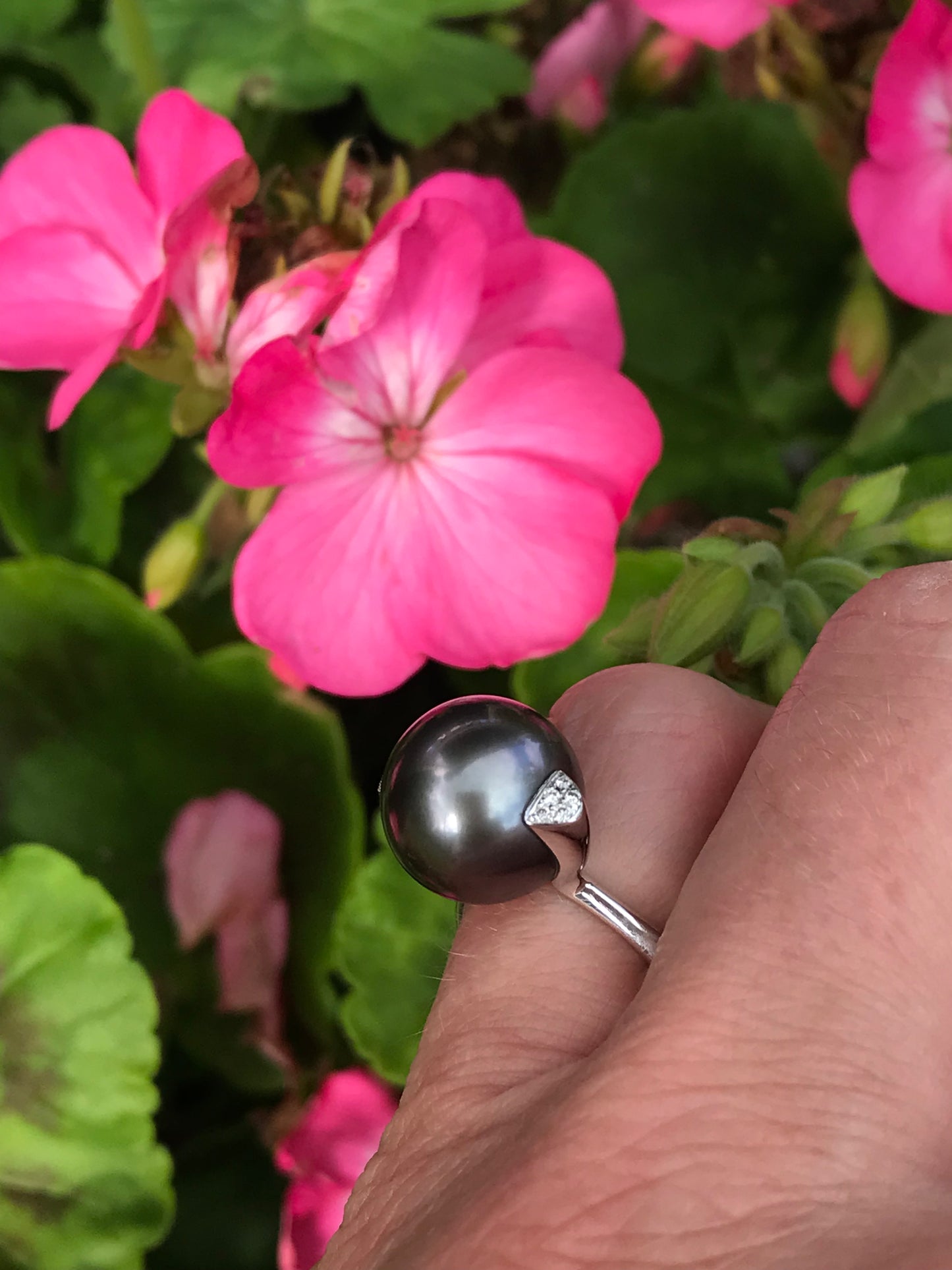 18ct white gold tahitian pearl and diamond ring Ring Gellner