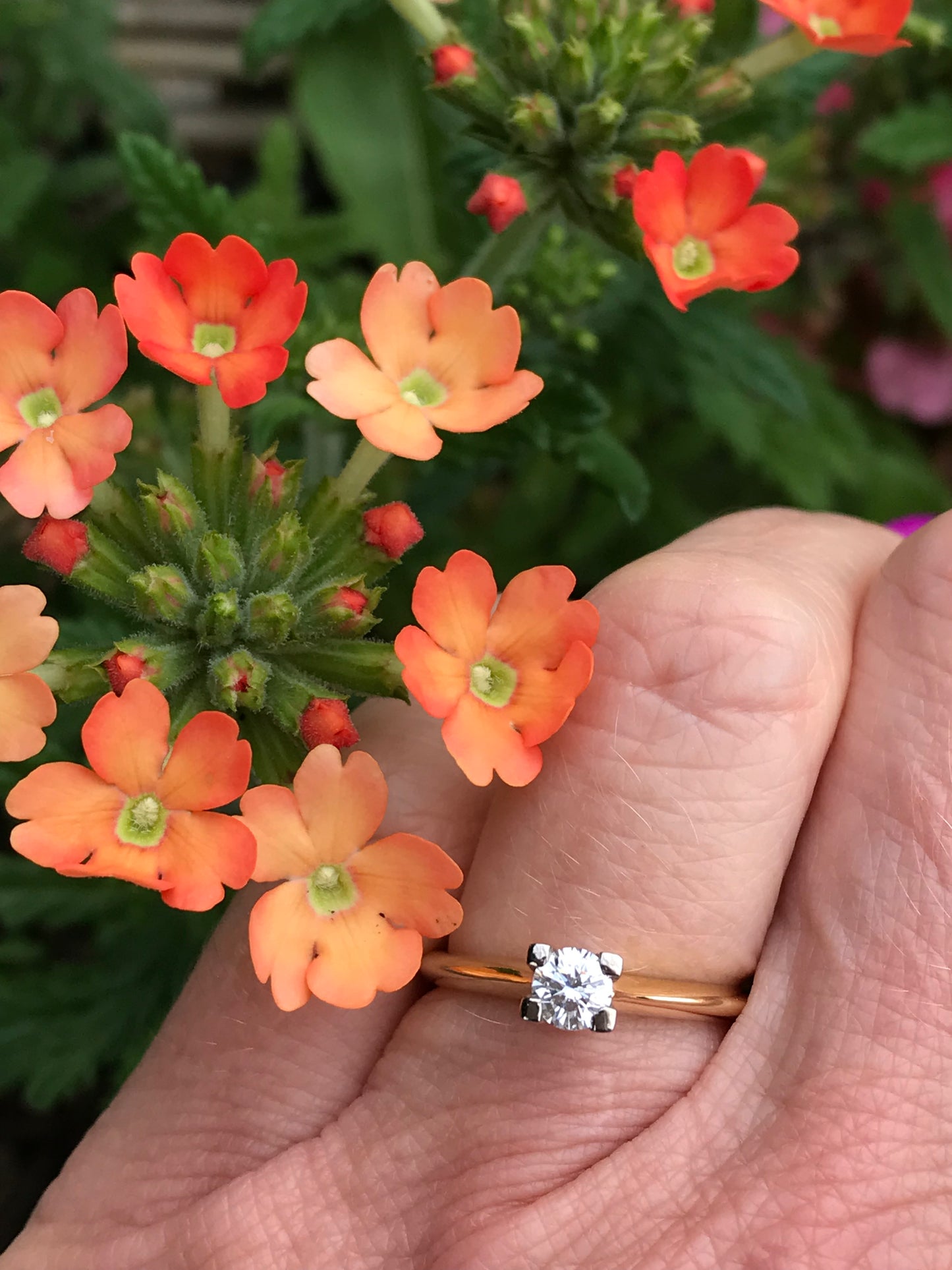 White and yellow gold brilliant cut 0.27ct natural diamond ring Ring Christopher Wharton