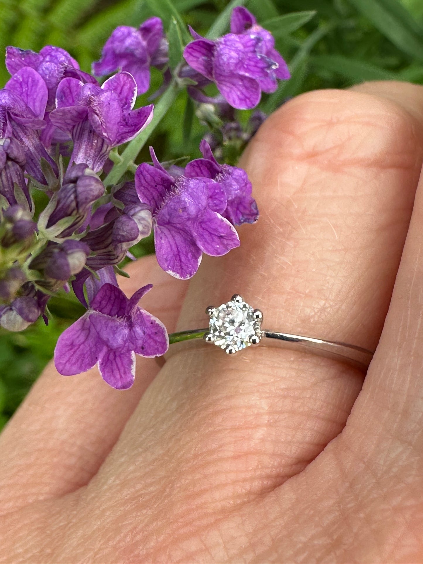 18ct white gold natural Diamond 0.20ct 6 claw ring Ring Not specified