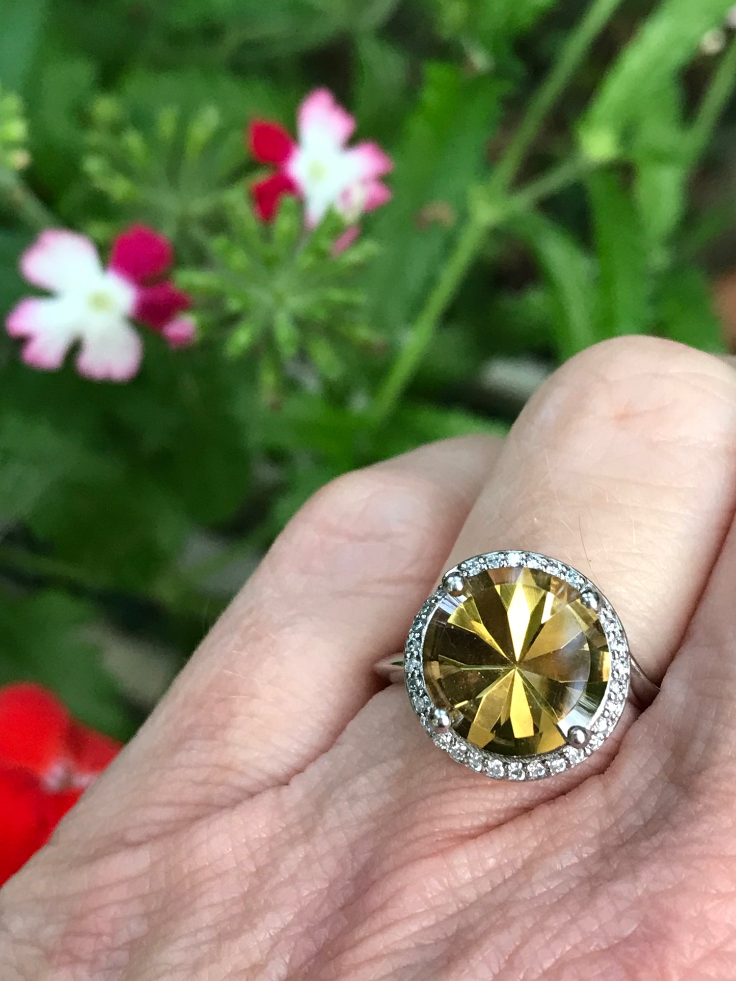 Palladium ring set with a 3.83ct Citrine and diamonds Ring Rock Lobster