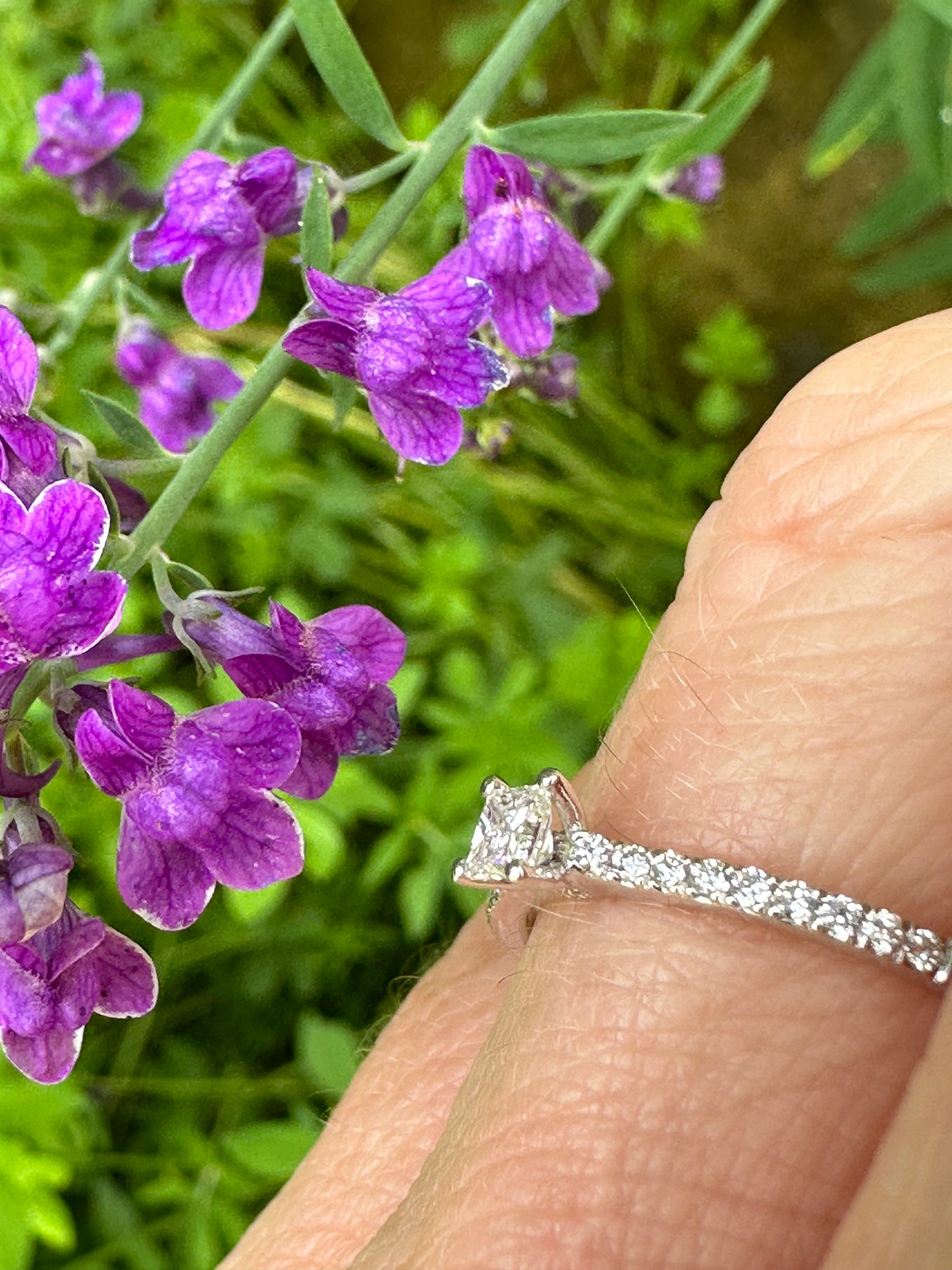 18ct white gold princess 0.15ct natural diamond shoulder ring GVS Ring Rock Lobster