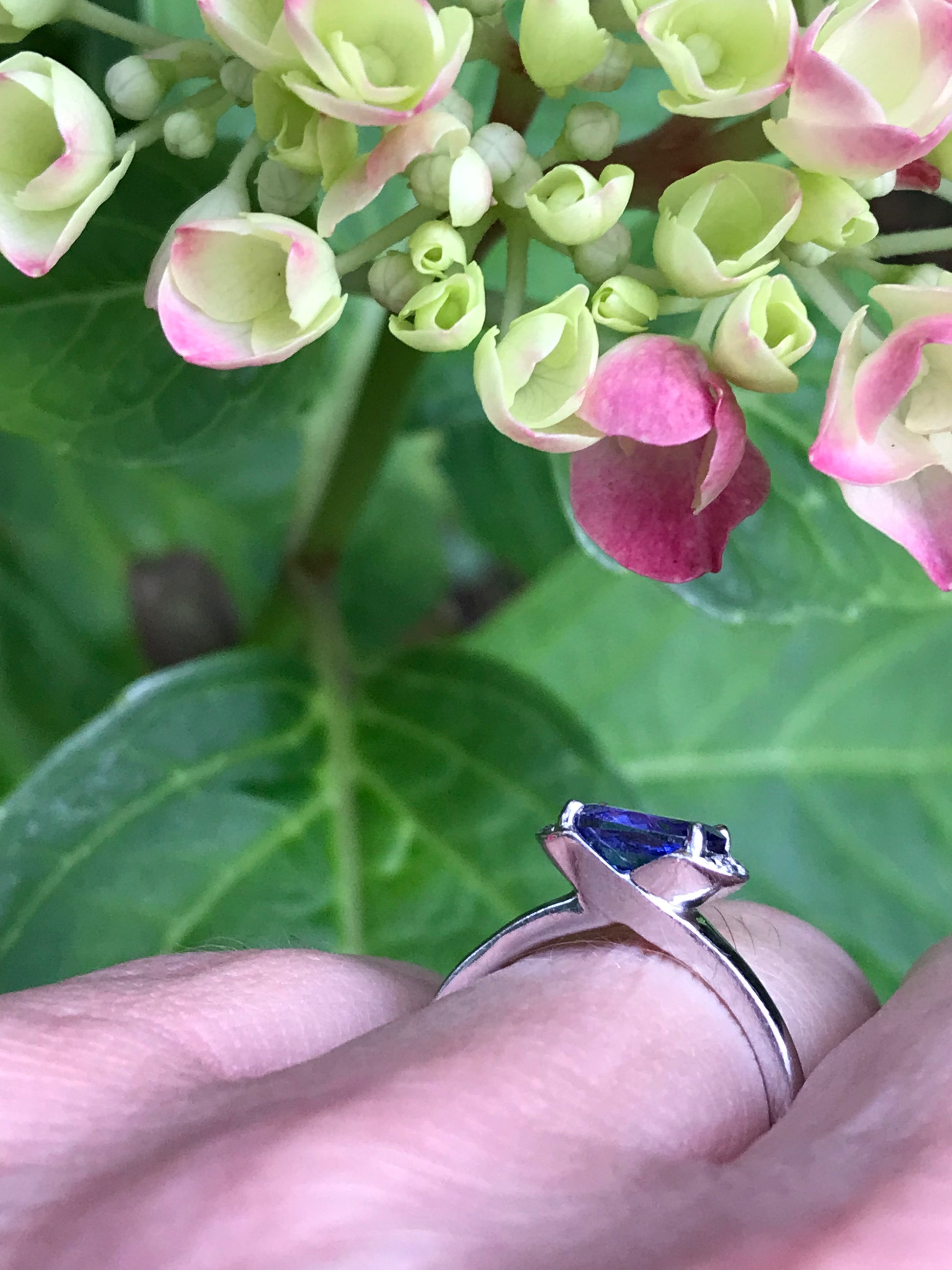 18ct white gold oval tanzanite and diamond ring Ring Christopher Wharton