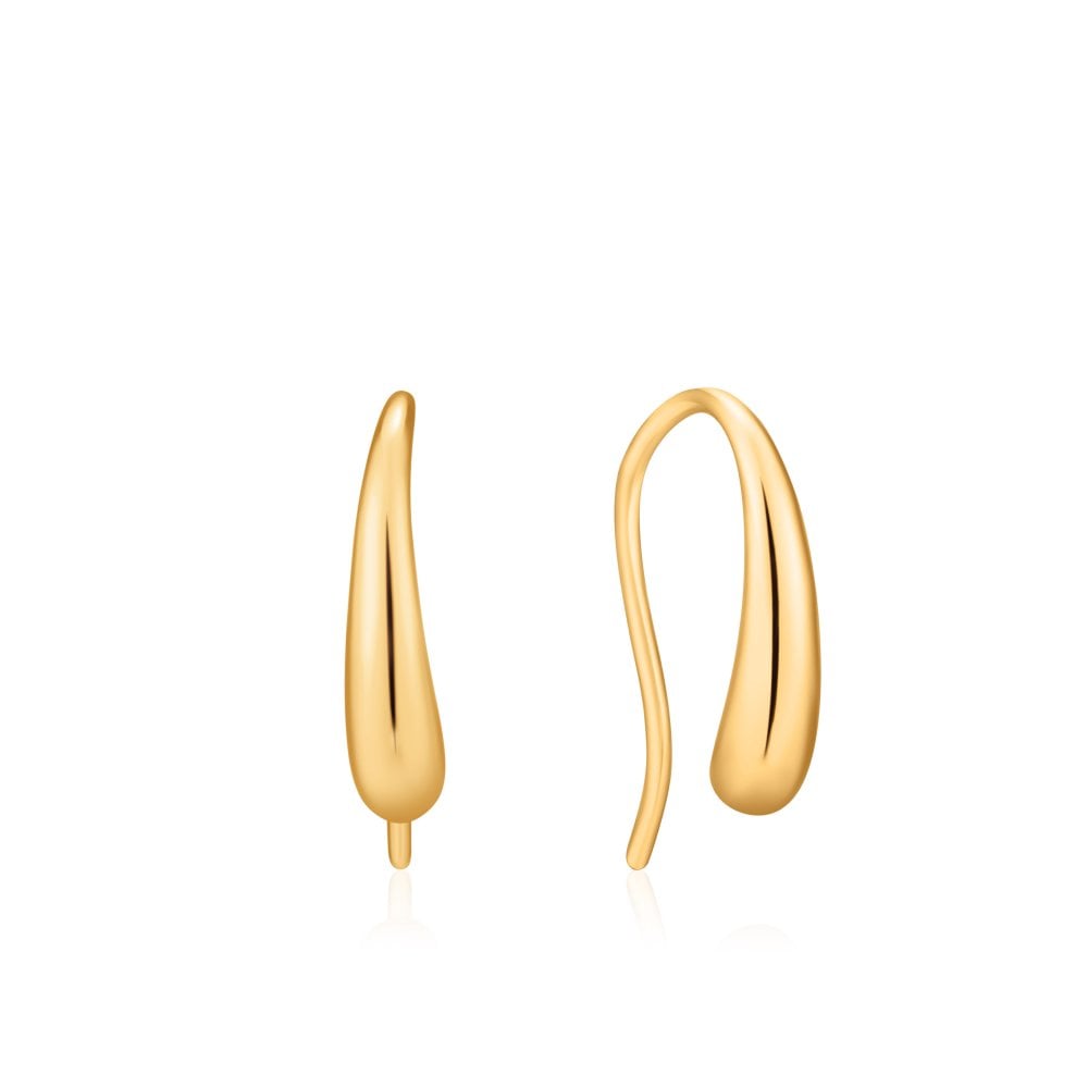 Gold luxe drop earrings Earrings Ania Haie