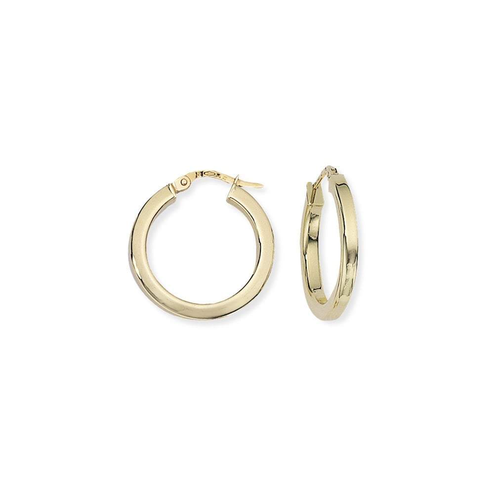 9ct yellow gold square tube round hoops Earrings Rock Lobster