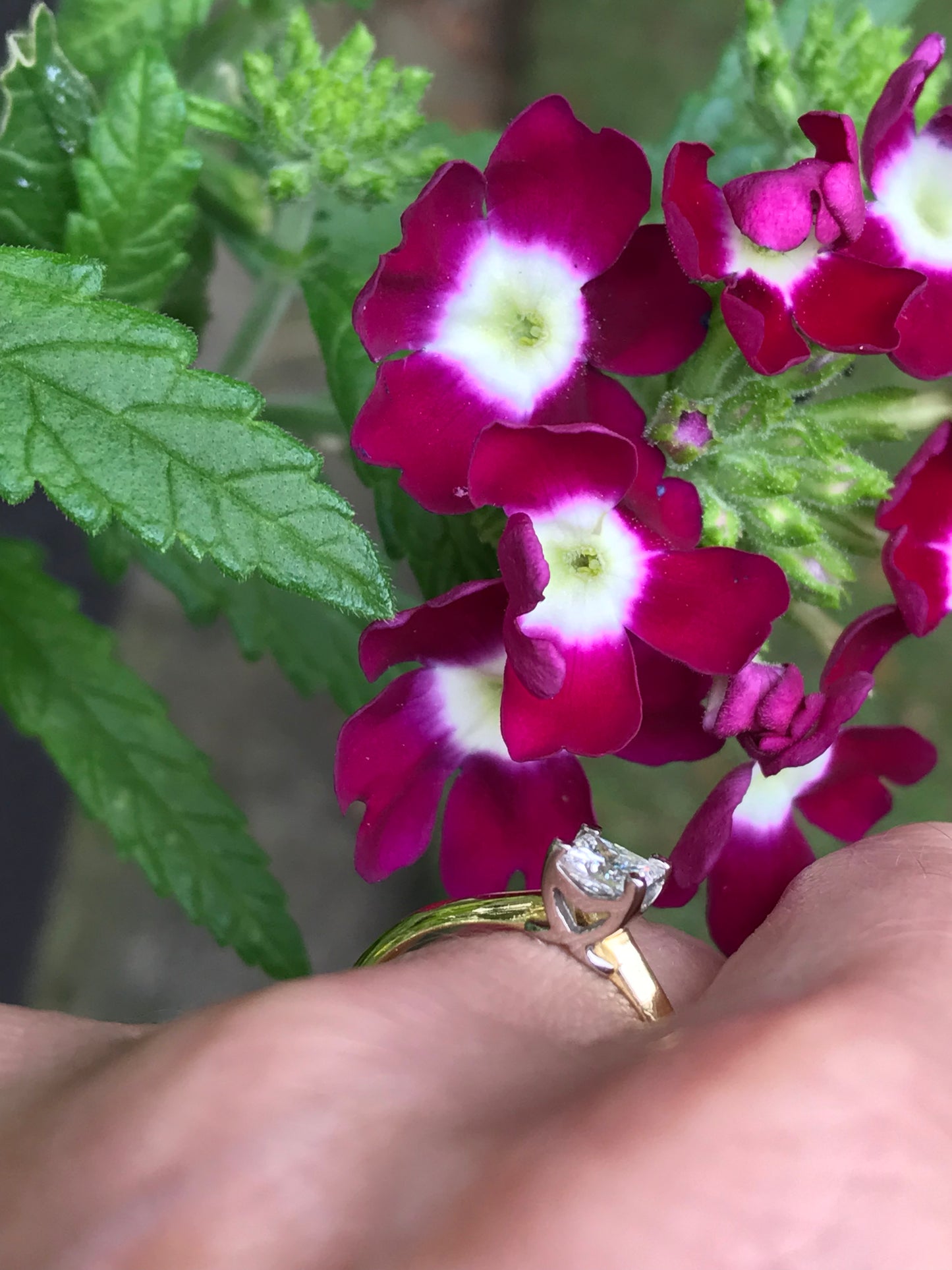 18ct Gold princess 0.51ct natural diamond ring Ring Christopher Wharton