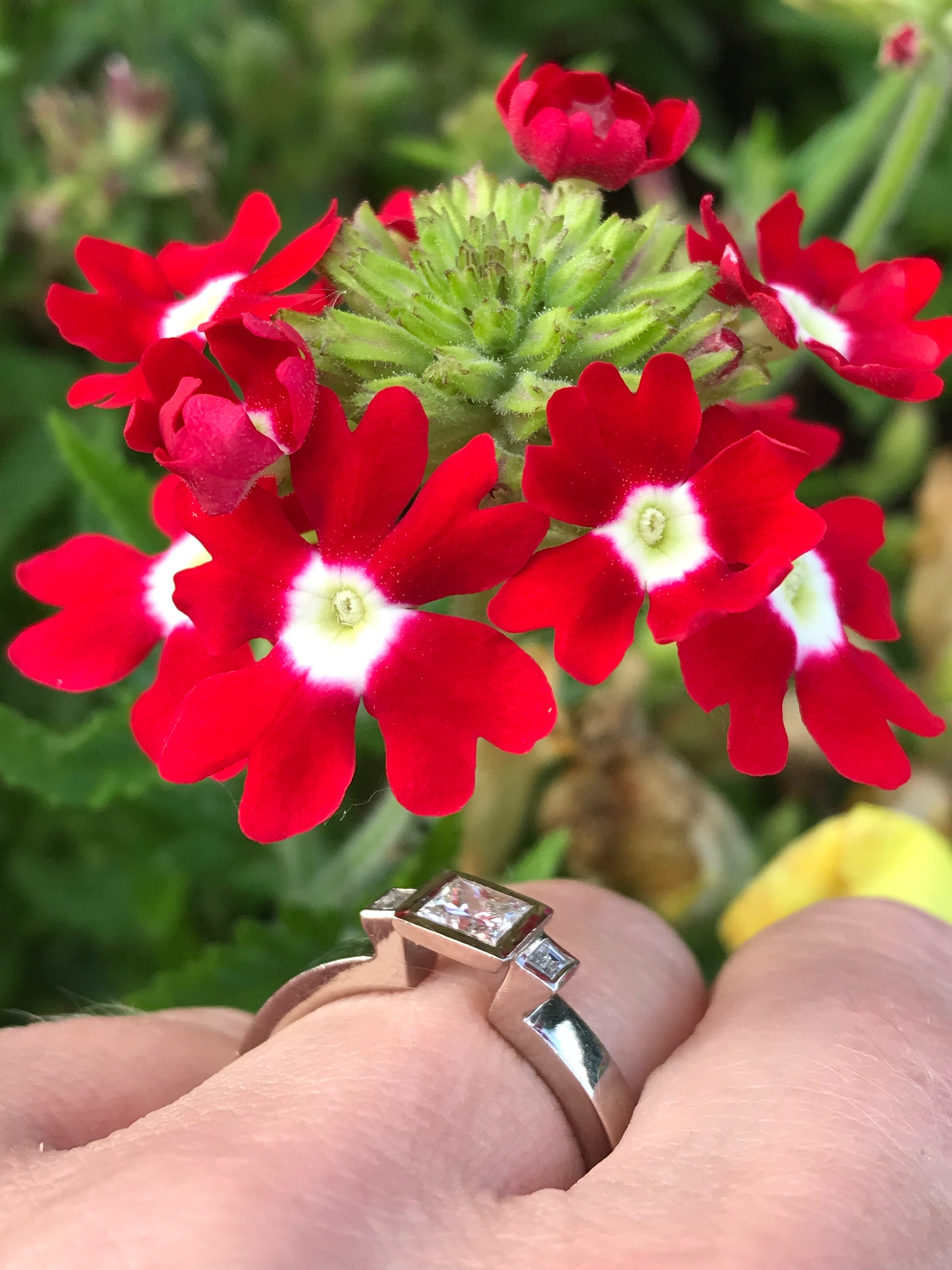 18ct white gold 0.60ct natural diamond trilogy ring Ring Rock Lobster