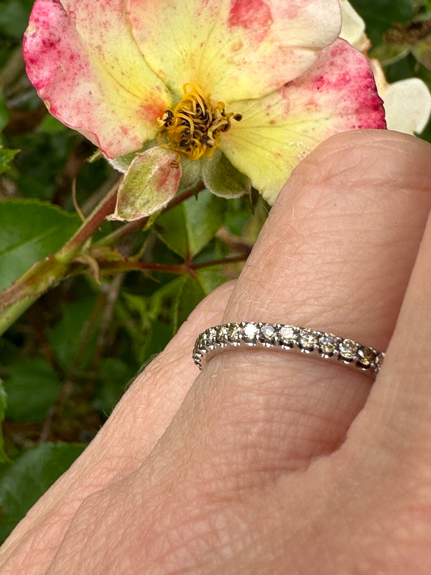 18ct white gold natural brown diamond full eternity ring Ring Buchwald