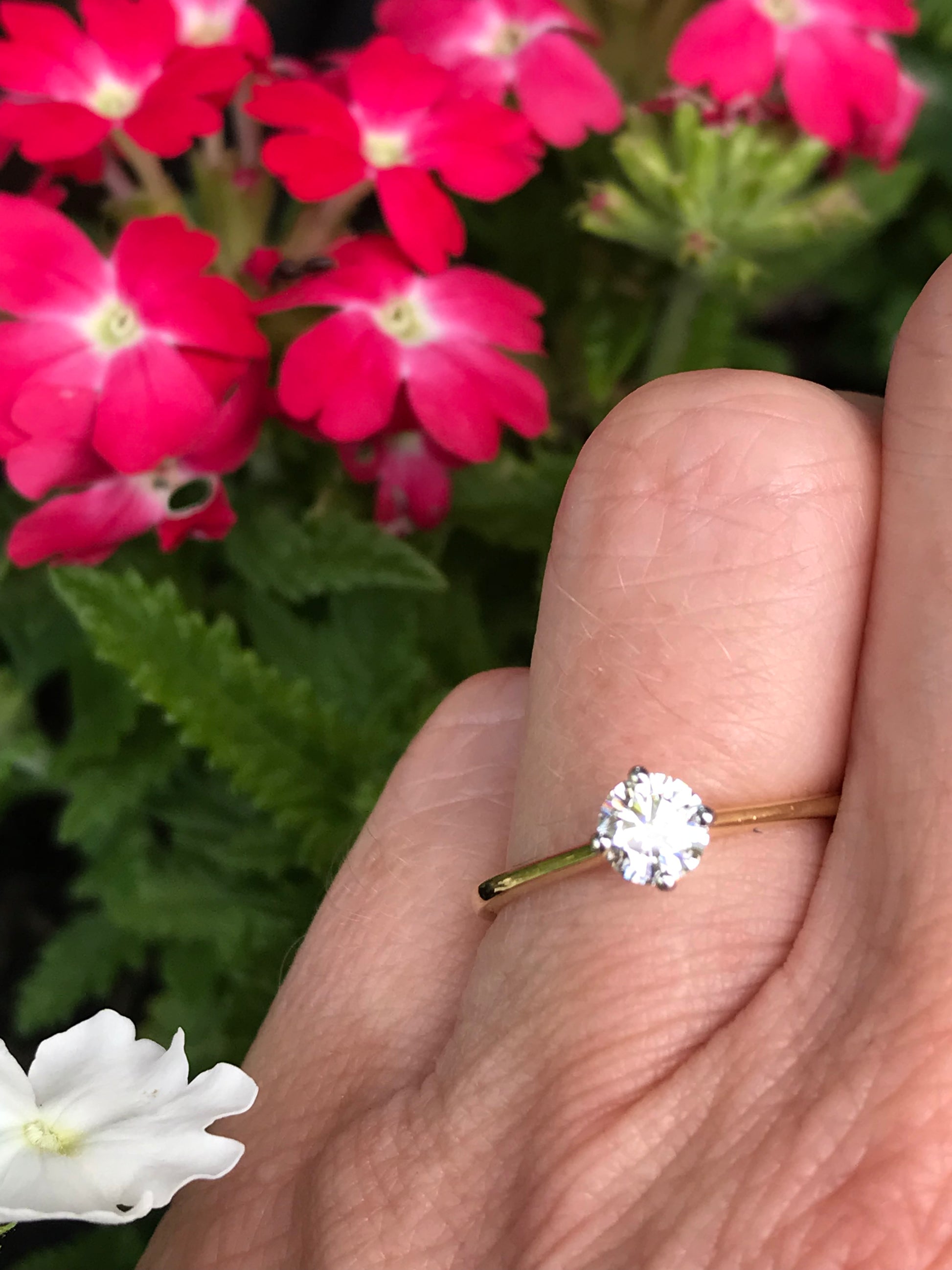 18ct yellow gold 0.45ct certified natural diamond ring Ring Rock Lobster