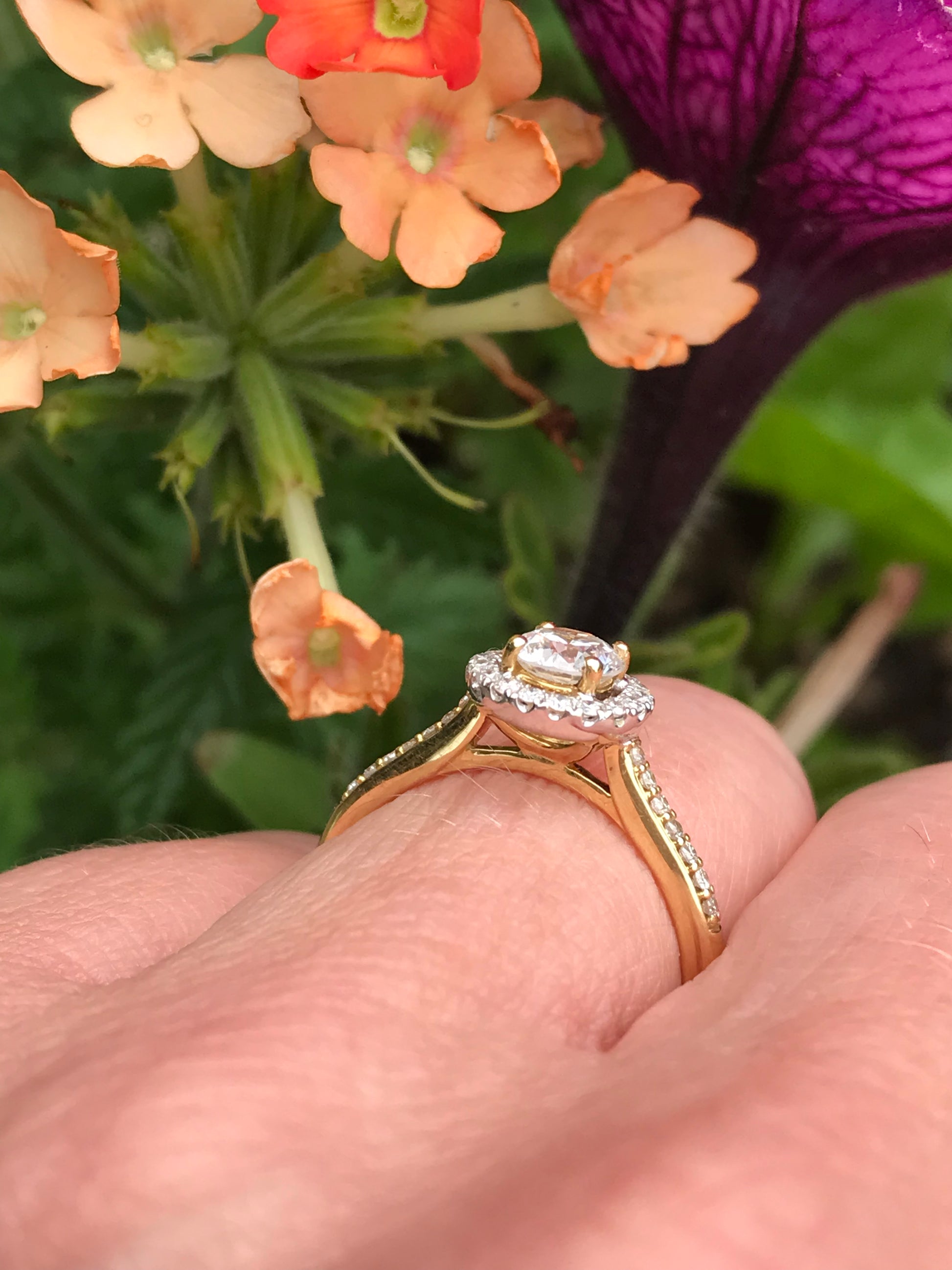 18ct yellow gold 0.54ct natural diamond halo ring Ring Rock Lobster