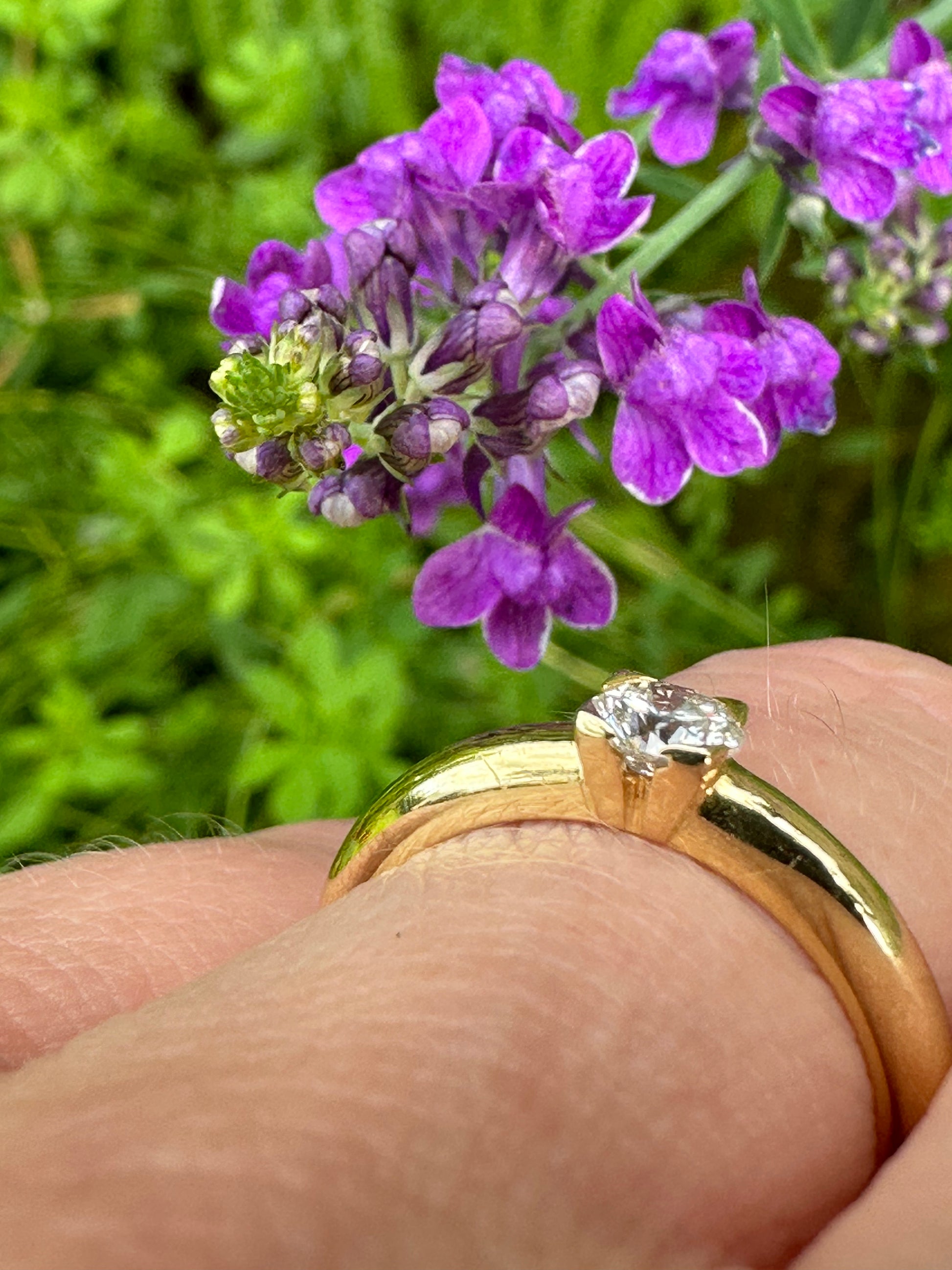 18ct yellow gold brilliant cut 0.35ct natural diamond ring Ring Rock Lobster