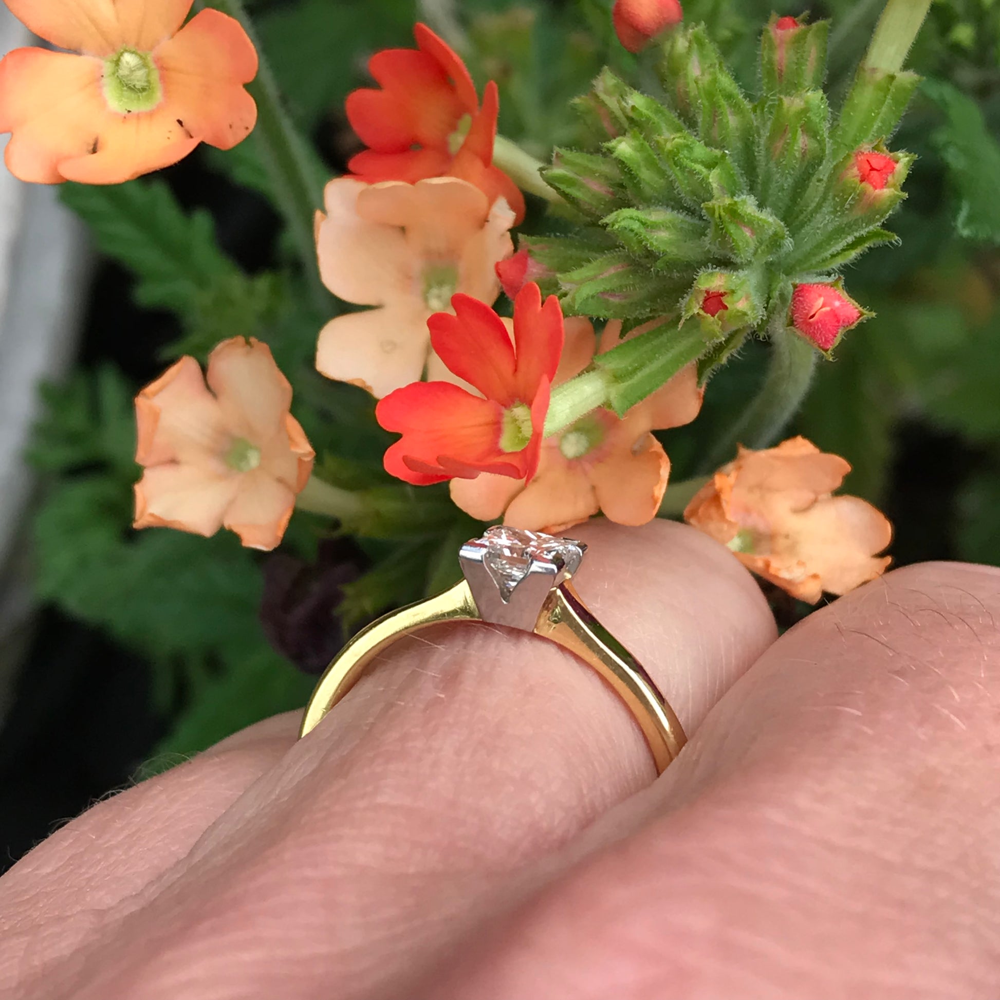 18ct yellow gold platinum princess 0.44ct natural diamond ring Ring Rock Lobster