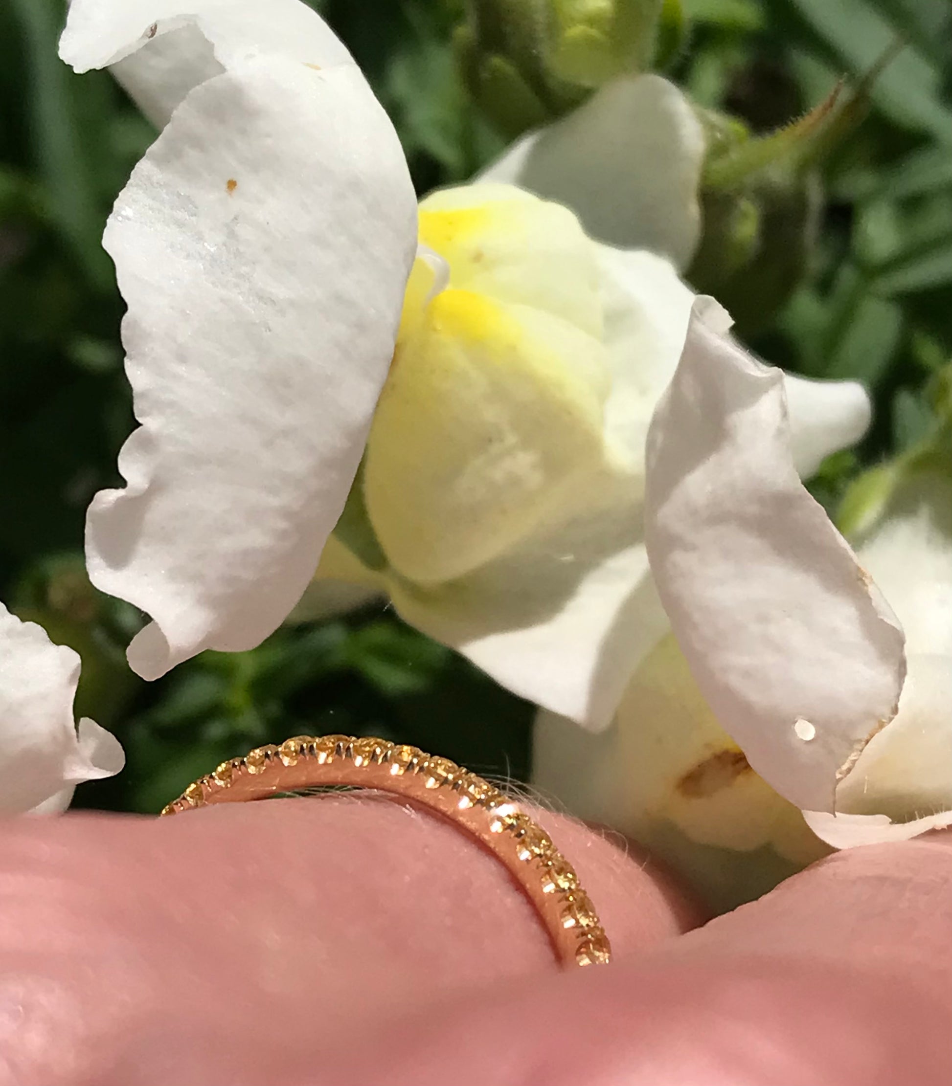 18ct yellow gold yellow sapphire half eternity ring size N Ring Rock Lobster
