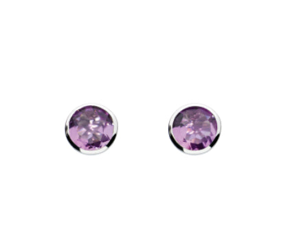 Silver Amethyst medium round studs Earrings Rock Lobster   