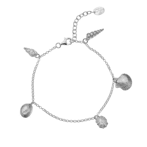 A simple silver organic shell charm bracelet Bracelets Sea Gems Ltd