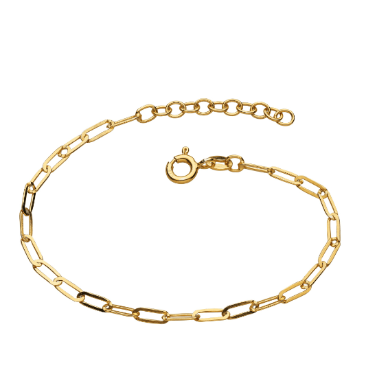 Gold plated silver Paperclip Link Chain Bracelet Bracelet DEW