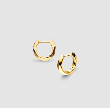 Earrings Golden Glint Geo  Hoop Earrings
