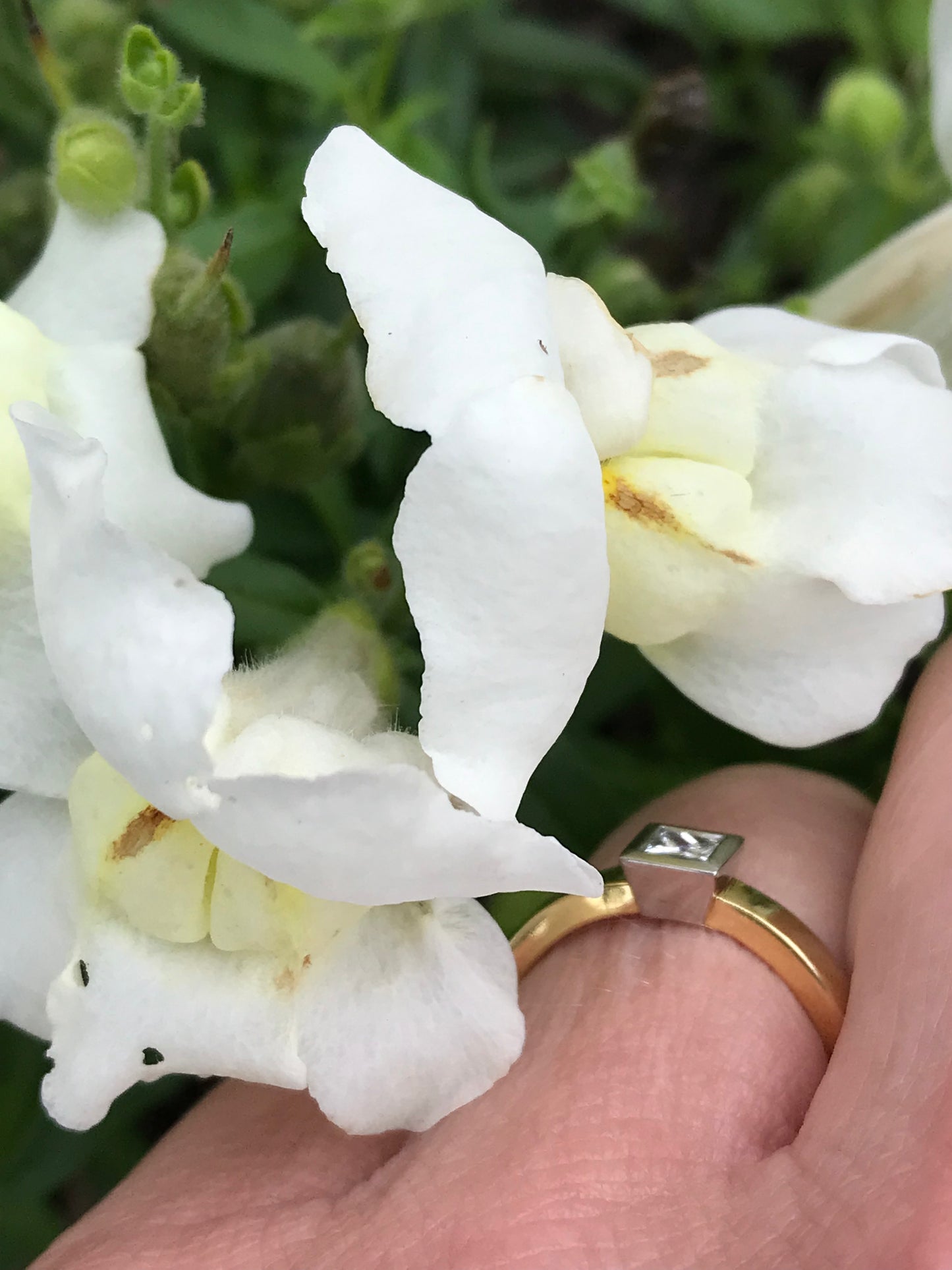 18ct gold and platinum princess cut 0.25ct natural diamond ring Ring Jeremy Hoye   