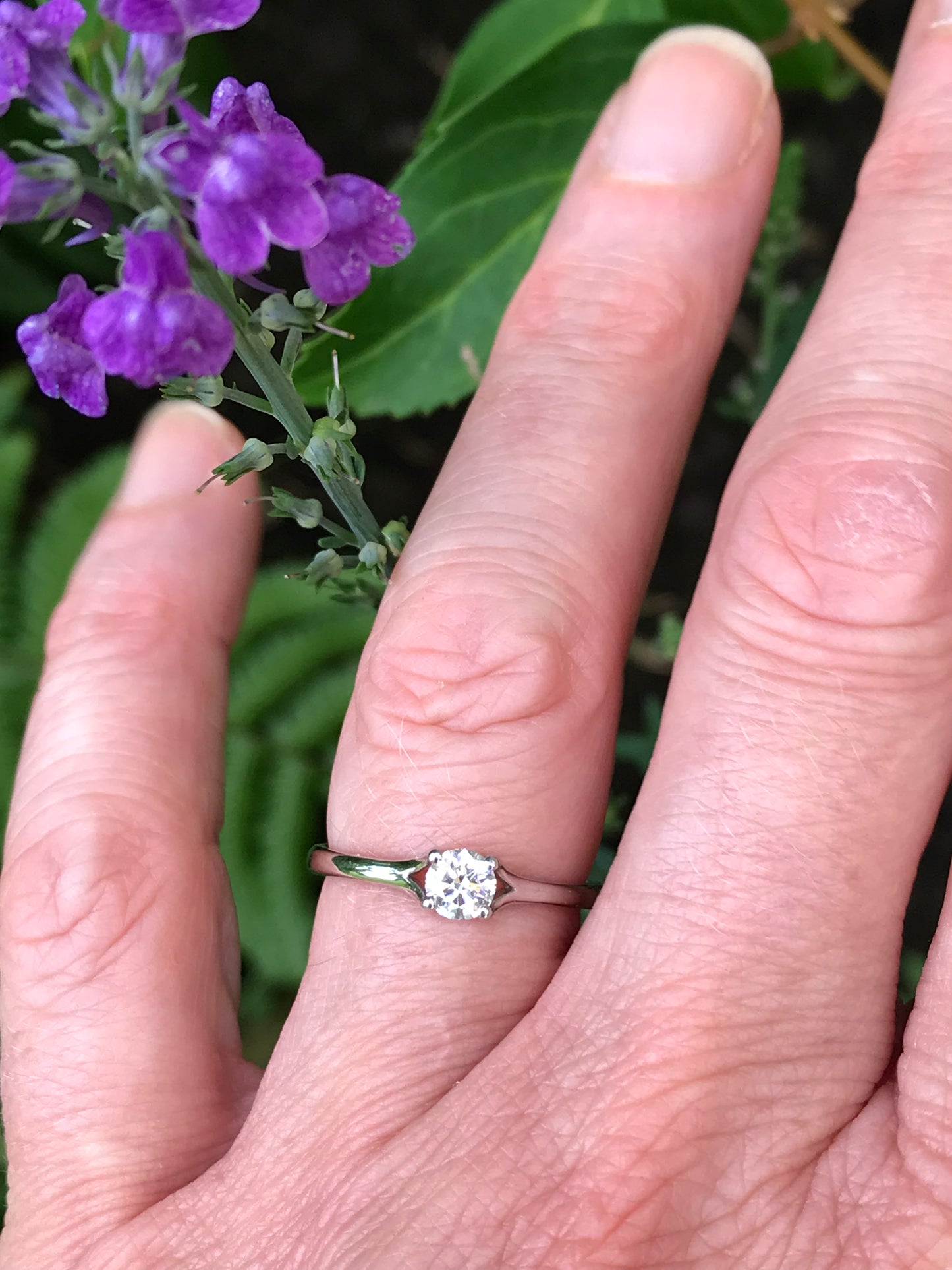 Platinum 4 claw brilliant cut 0.30ct certified natural diamond ring  EVS2 Ring Rock Lobster   