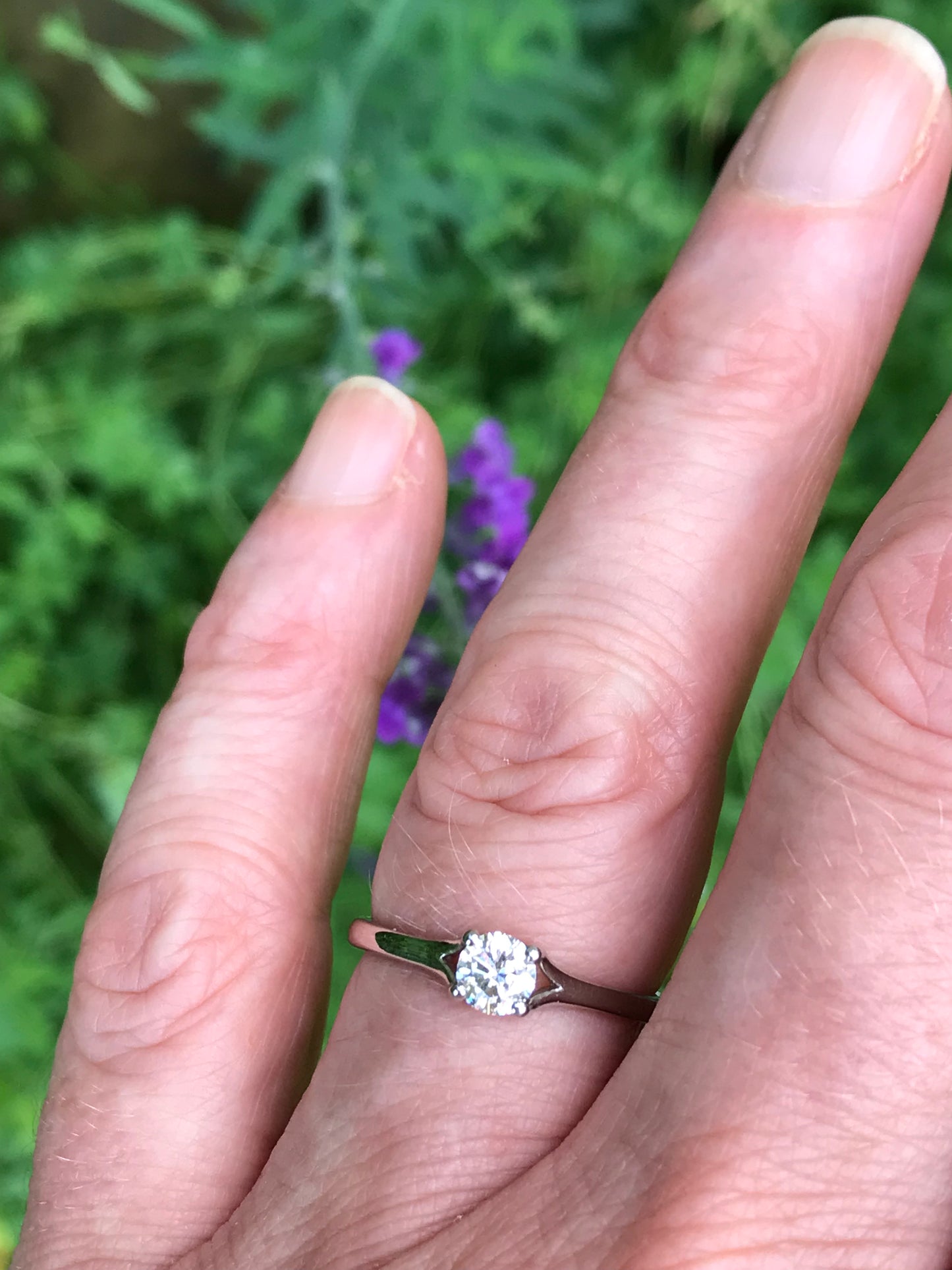 Platinum 4 claw brilliant cut 0.30ct certified natural diamond ring  EVS2 Ring Rock Lobster   