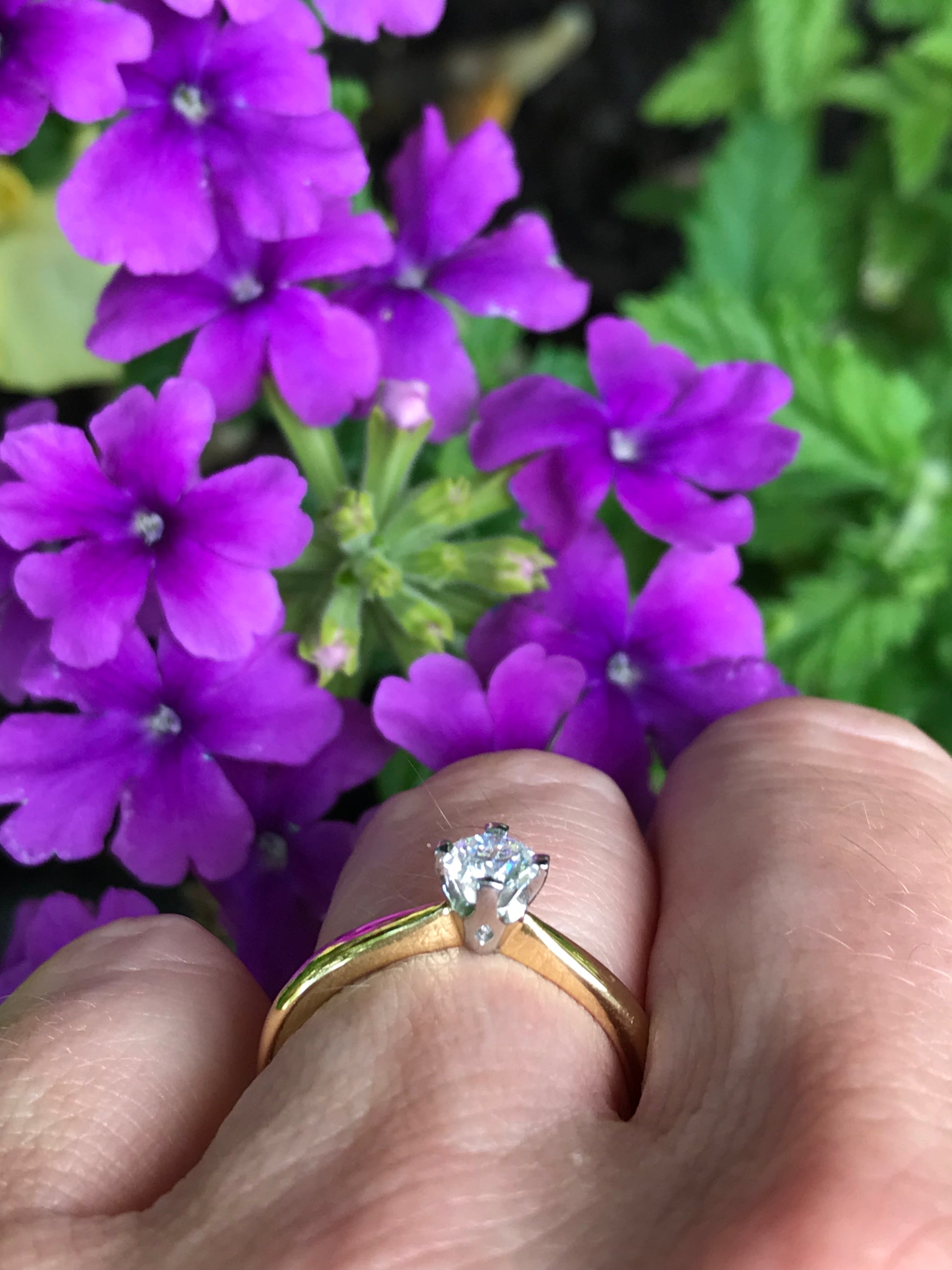 18ct yellow gold 0.36ct certified natural diamond ring Ring Rock Lobster   