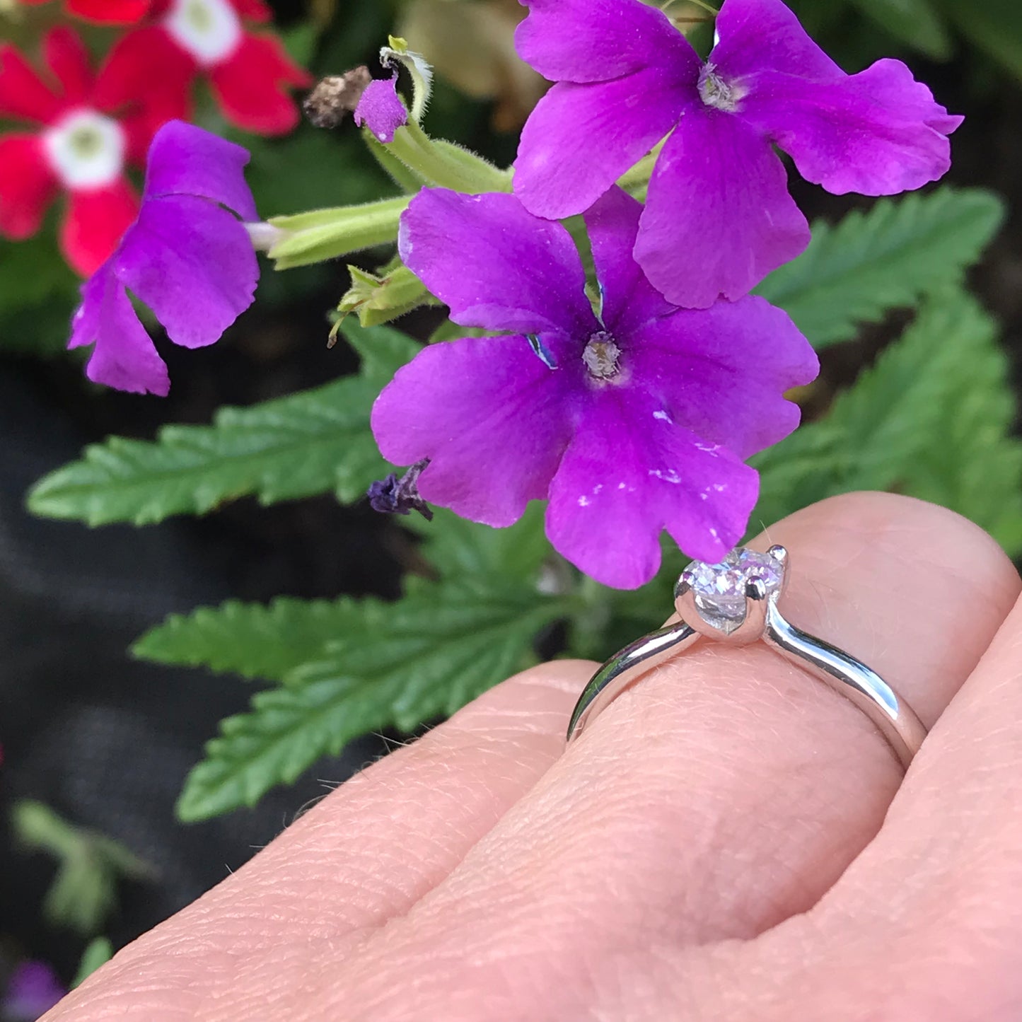 Platinum 0.50ct brilliant Natural Diamond four claw ring Ring Rock Lobster   
