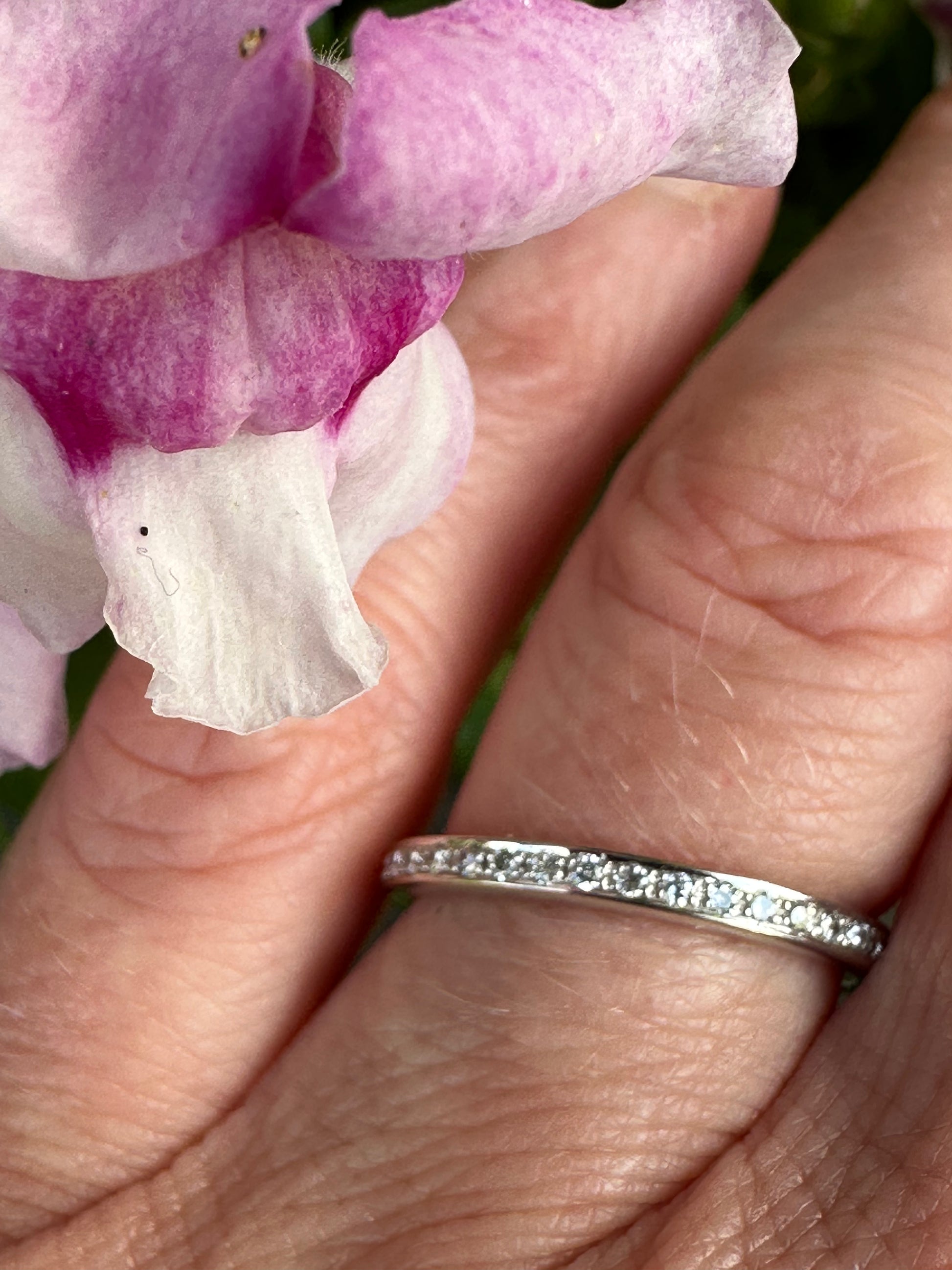 18ct white gold TWVS 0.30ct diamond grain set full eternity ring Ring Hans Rivoir   