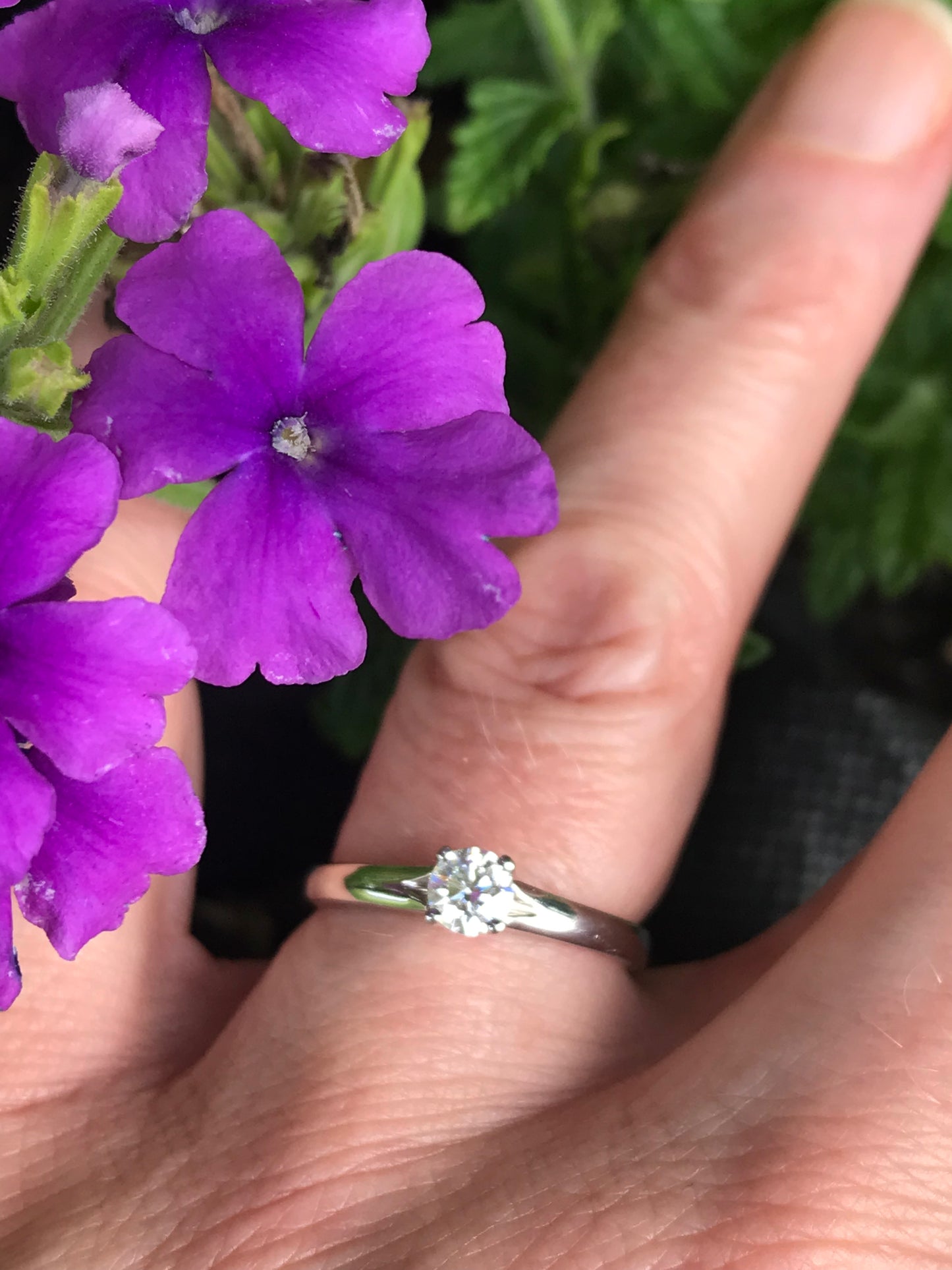 Platinum 0.31ct brilliant certified natural diamond ring Ring Rock Lobster