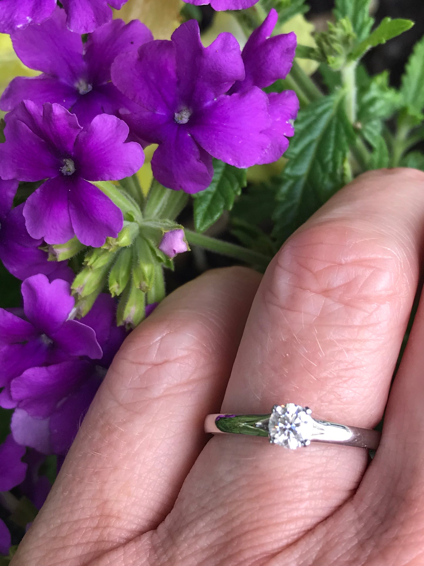 Platinum 0.31ct brilliant certified natural diamond ring Ring Rock Lobster