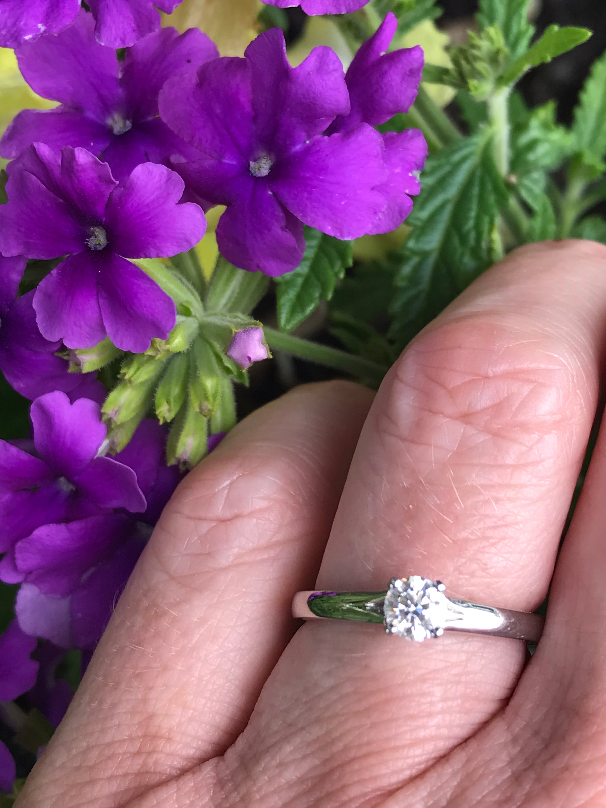 Platinum 0.31ct brilliant certified natural diamond ring Ring Rock Lobster