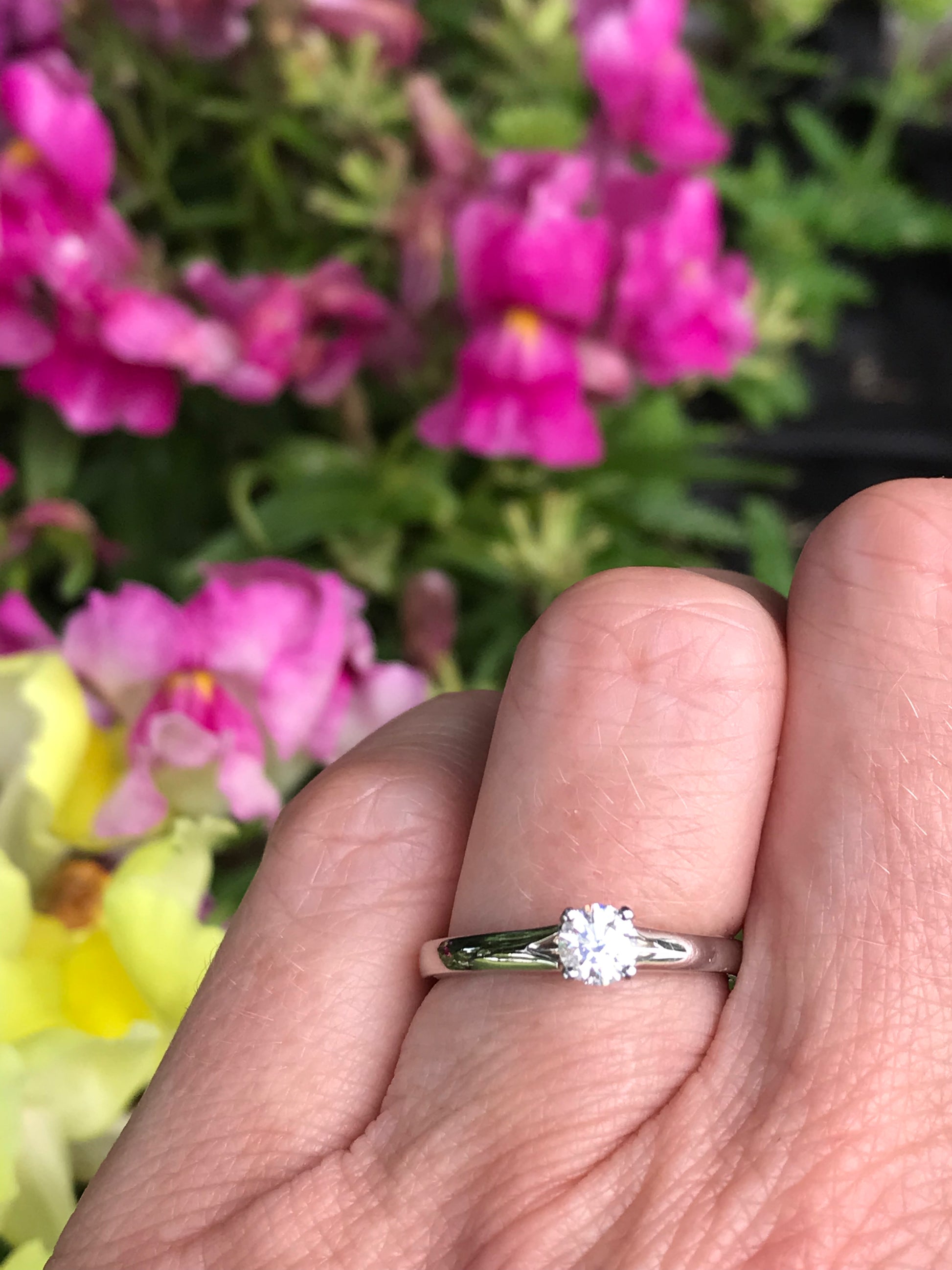 Platinum 0.31ct brilliant certified natural diamond ring Ring Rock Lobster