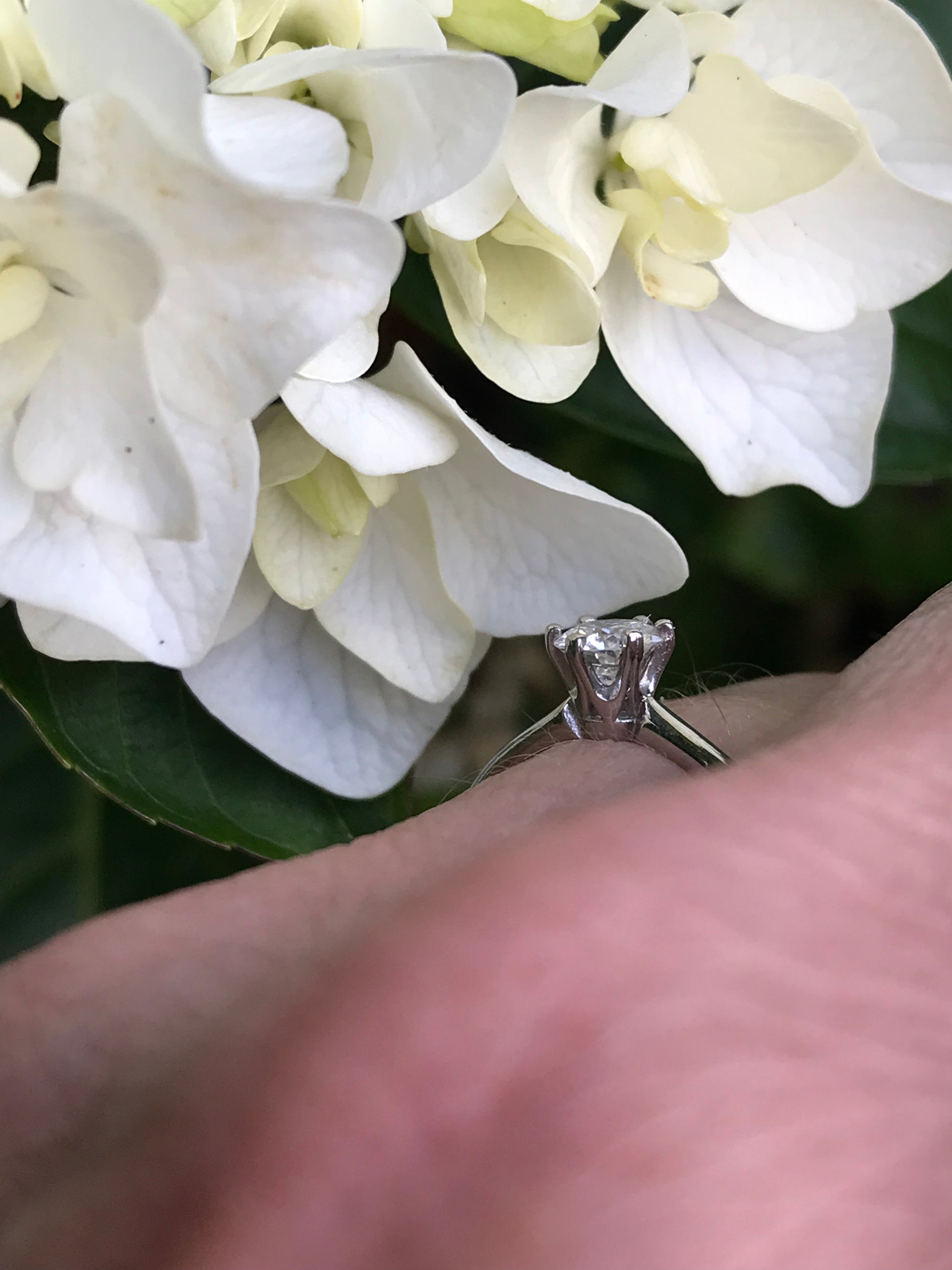 Platinum 0.36ct certified natural diamond ring Ring Rock Lobster