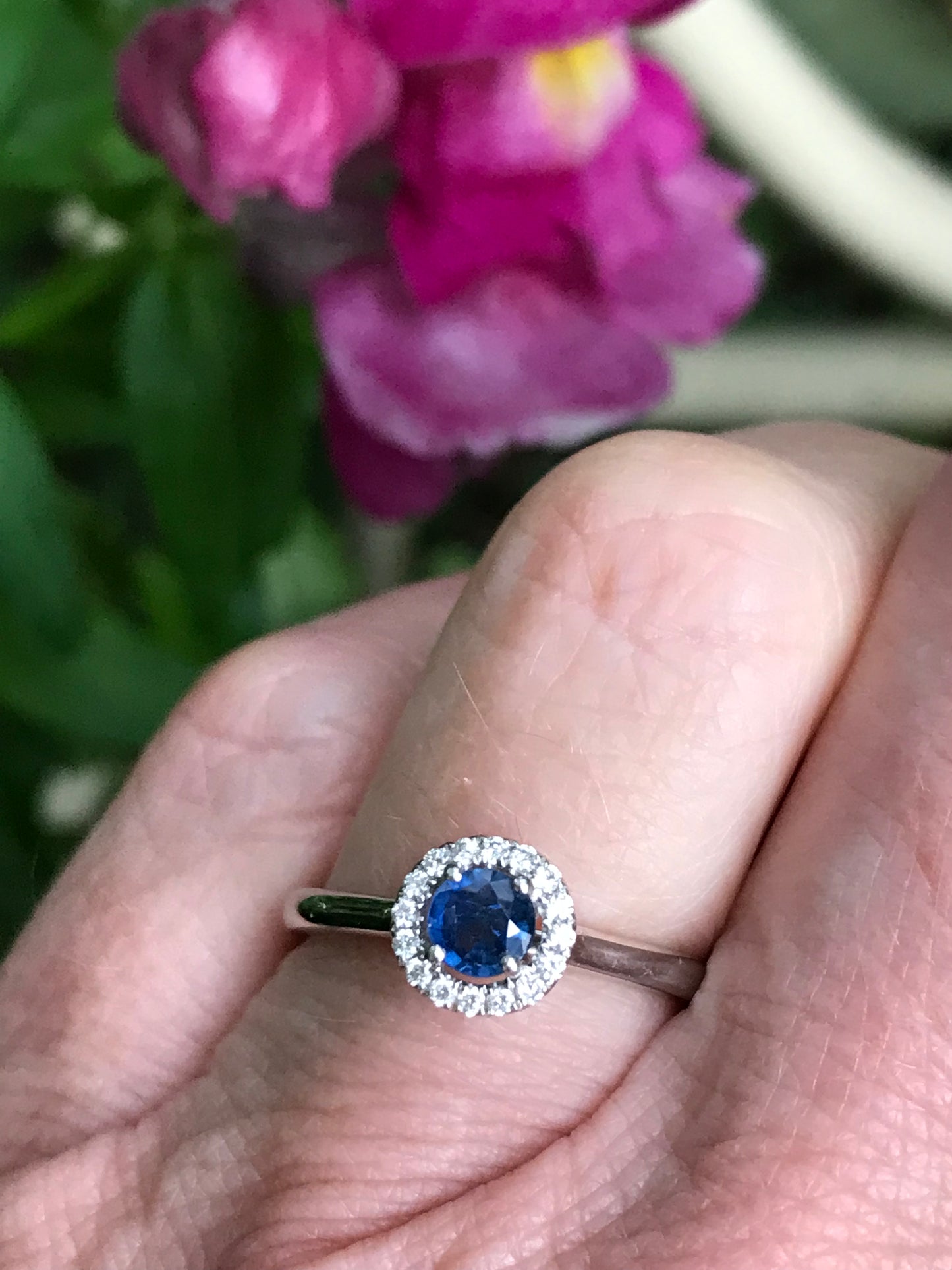 Platinum blue sapphire and diamond halo ring Ring Rock Lobster