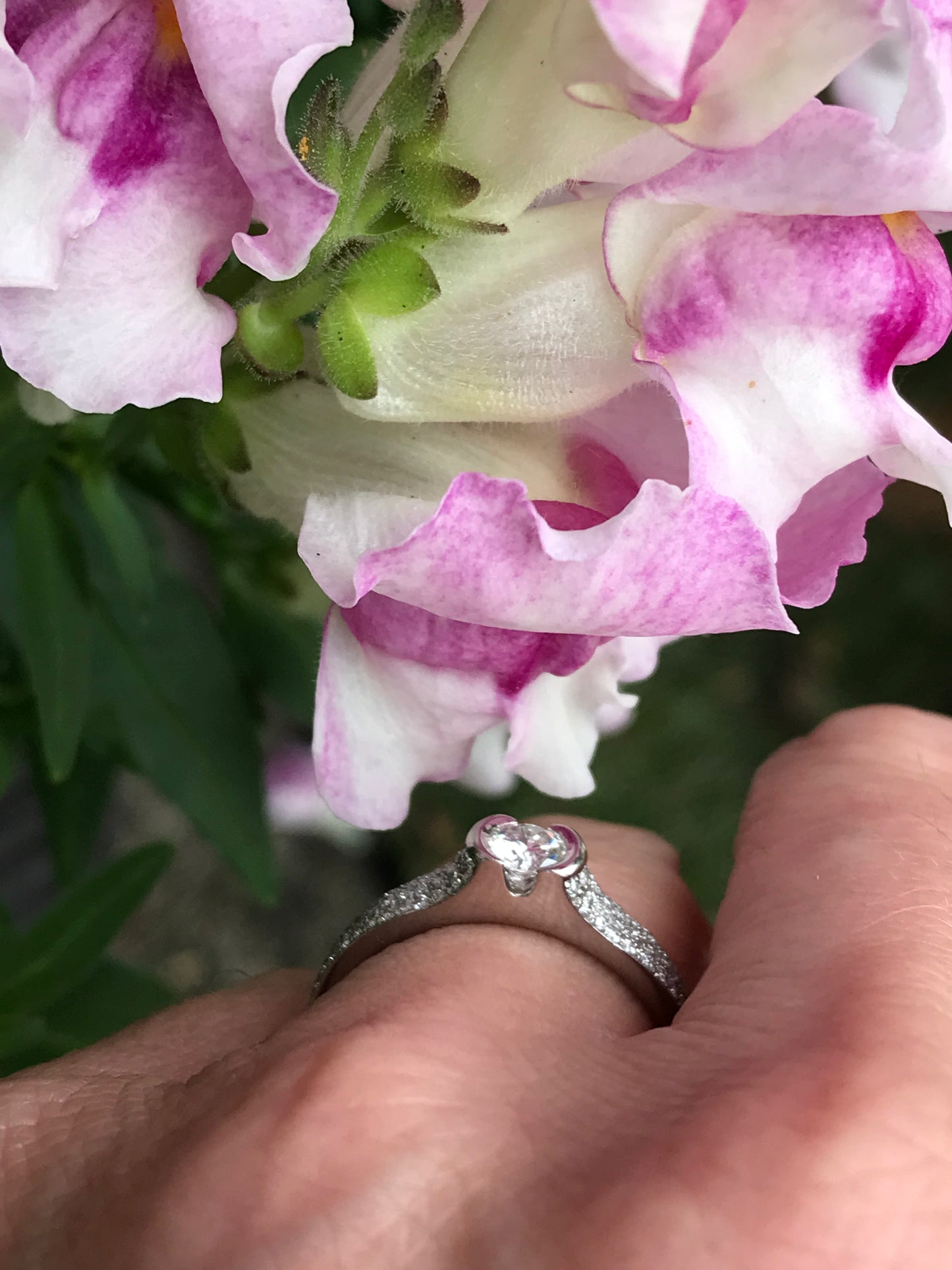 Platinum brilliant cut and pave set 0.54ct natural Diamond ring FVS Ring Henrich & Denzel