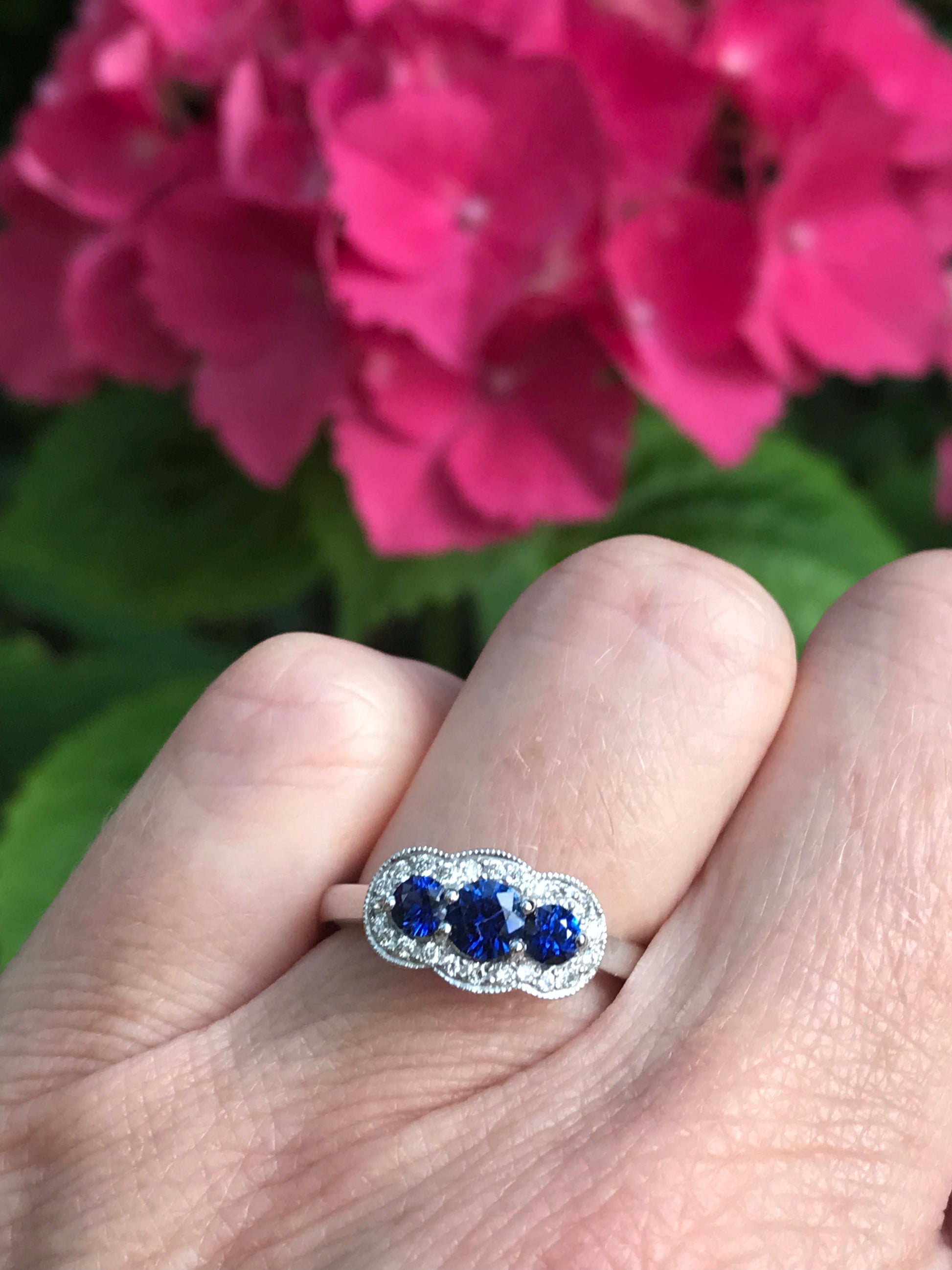 Platinum trilogy Sapphire & Diamond ring Ring Rock Lobster