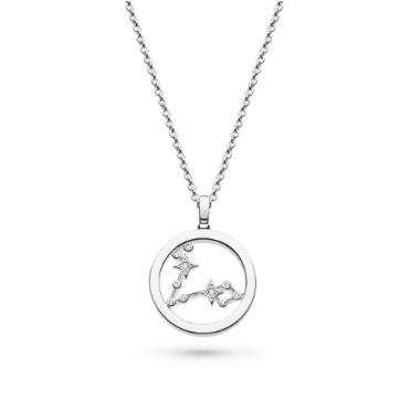 Silver Céleste Constellation Pisces Necklace Necklace Kit Heath