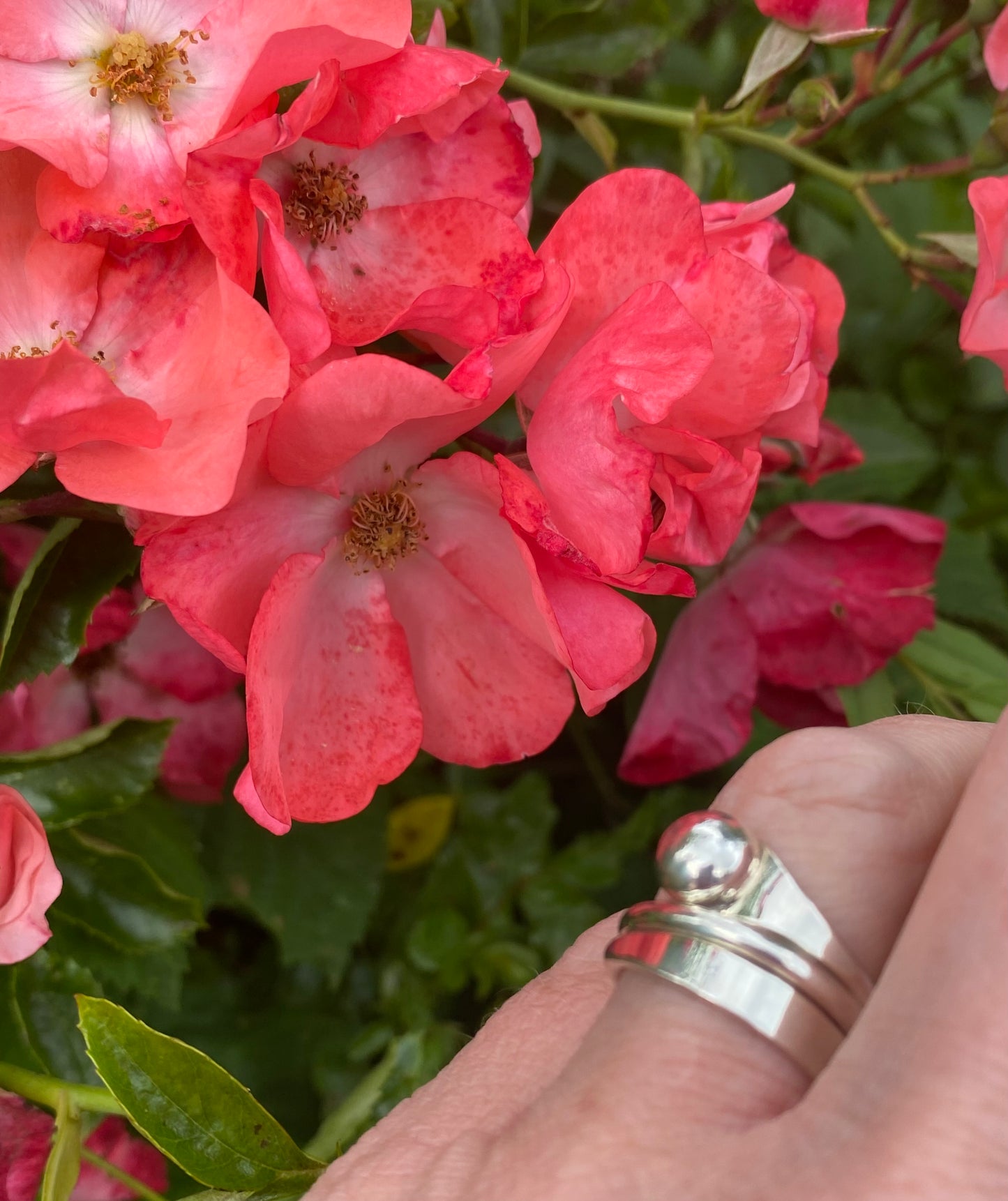 Silver coiled bead ring Ring Tianguis Jackson