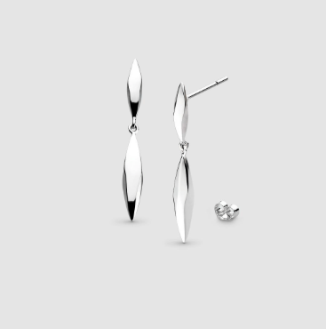 Earrings Silver Glint Drop Earrings