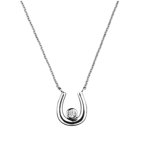 Silver stone set Horseshoe Necklace Necklace DEW