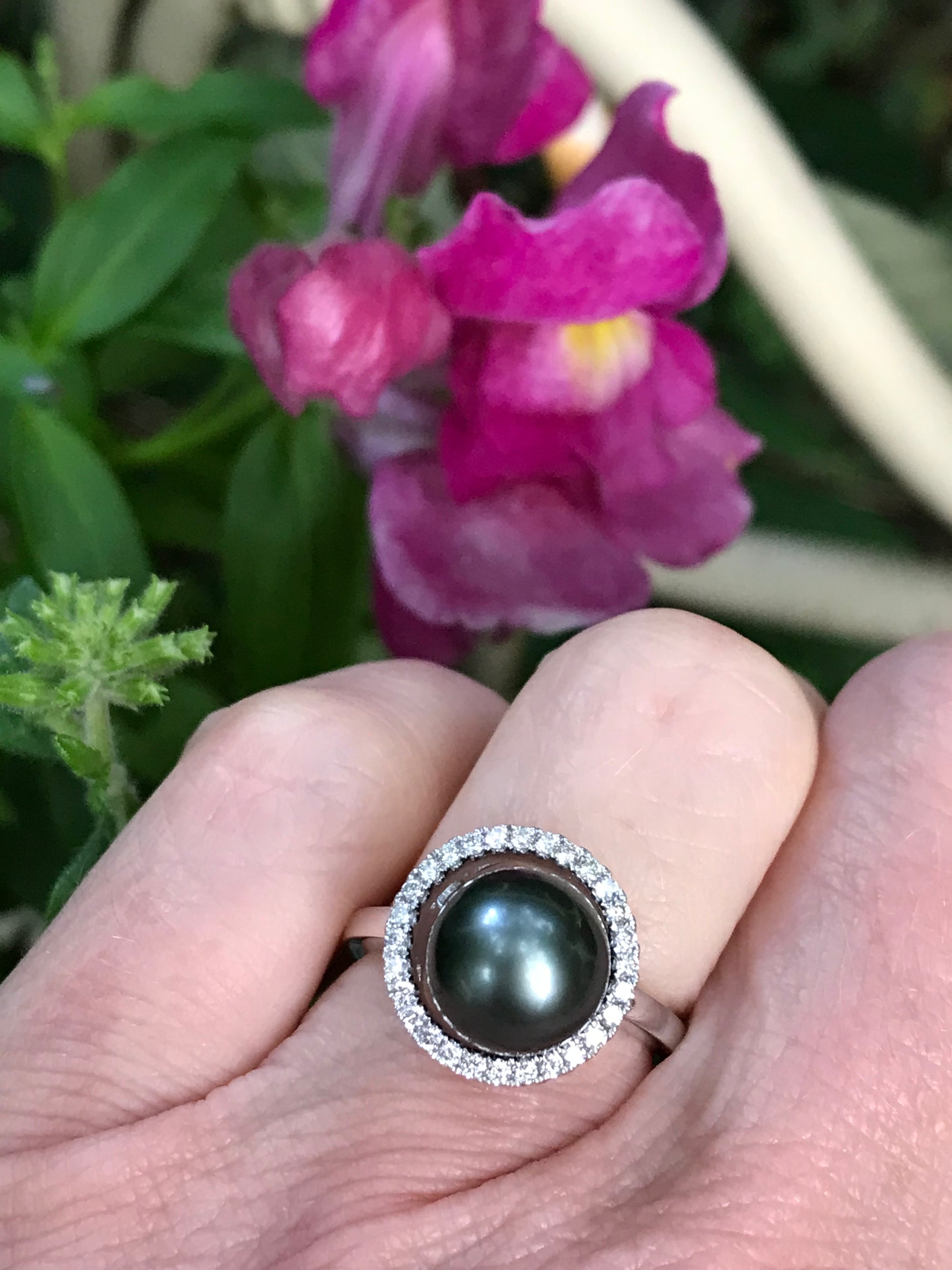 White gold tahitian pearl and diamond halo ring Ring Gellner