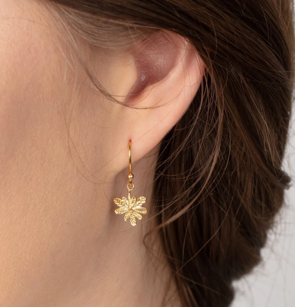 Amanda Coleman gold plated Silver Aralia leaf hook earrings Earrings Amanda Coleman   