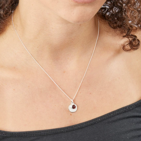 Silver Crystal Birthstone Necklace With Engravable Disc - Select Month Pendant Rock Lobster   