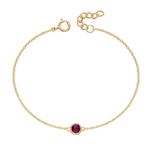 Gold Plated Birthstone Bracelet with Crystal charm -Select Month Bracelet Gecko   